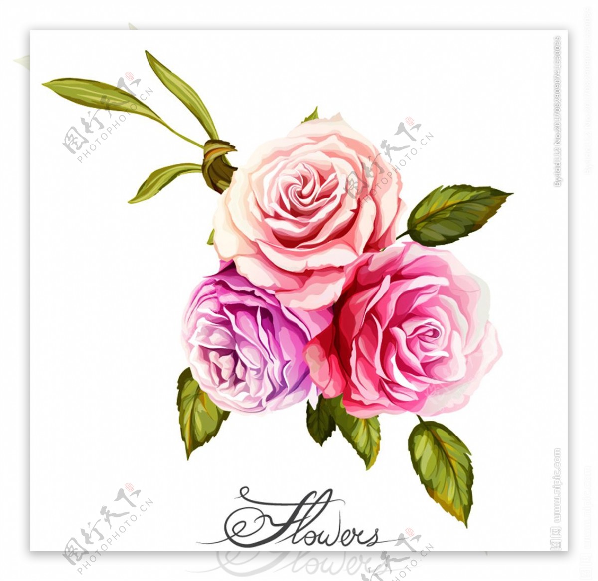 手绘彩色玫瑰花束矢量素材