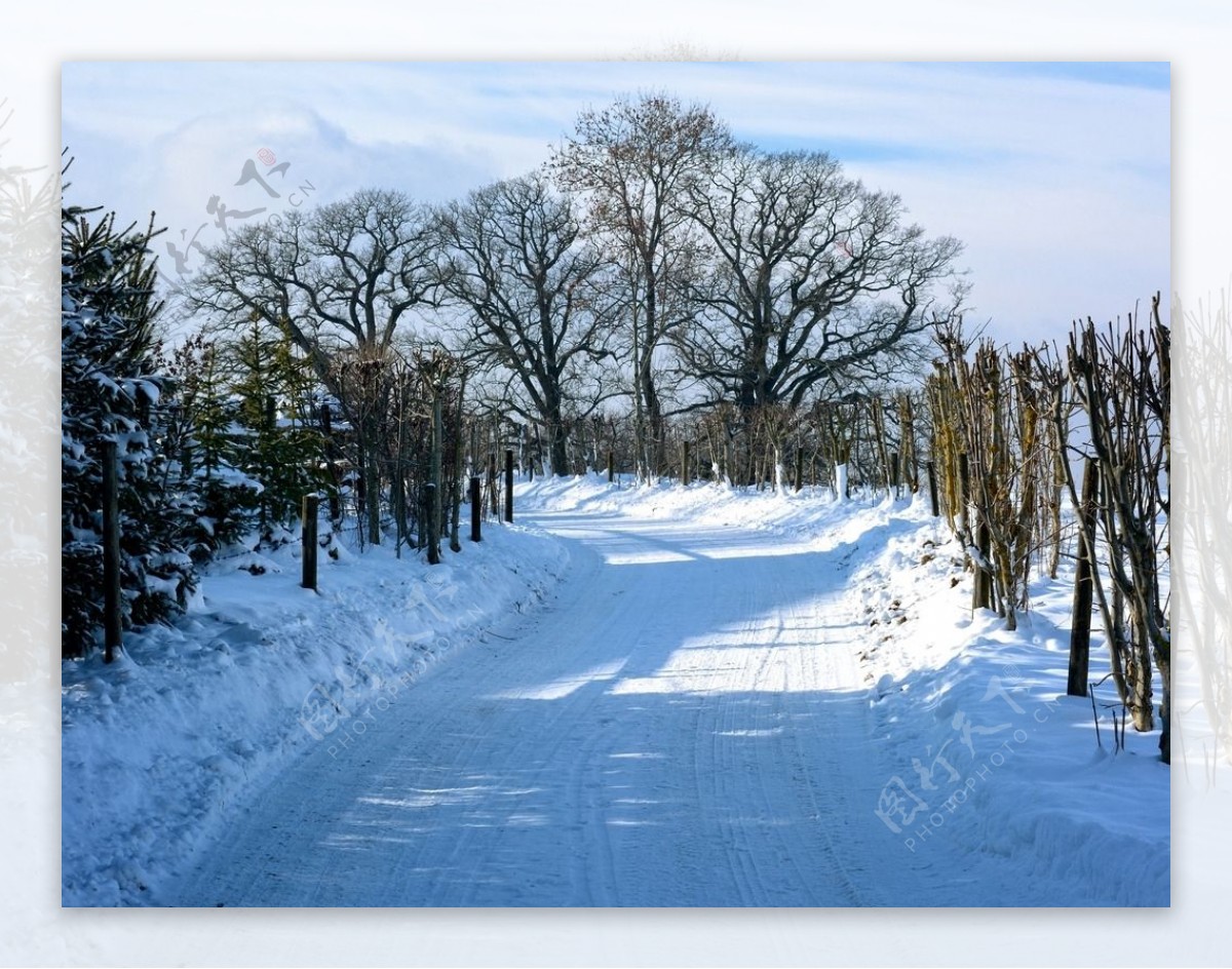 雪中道路