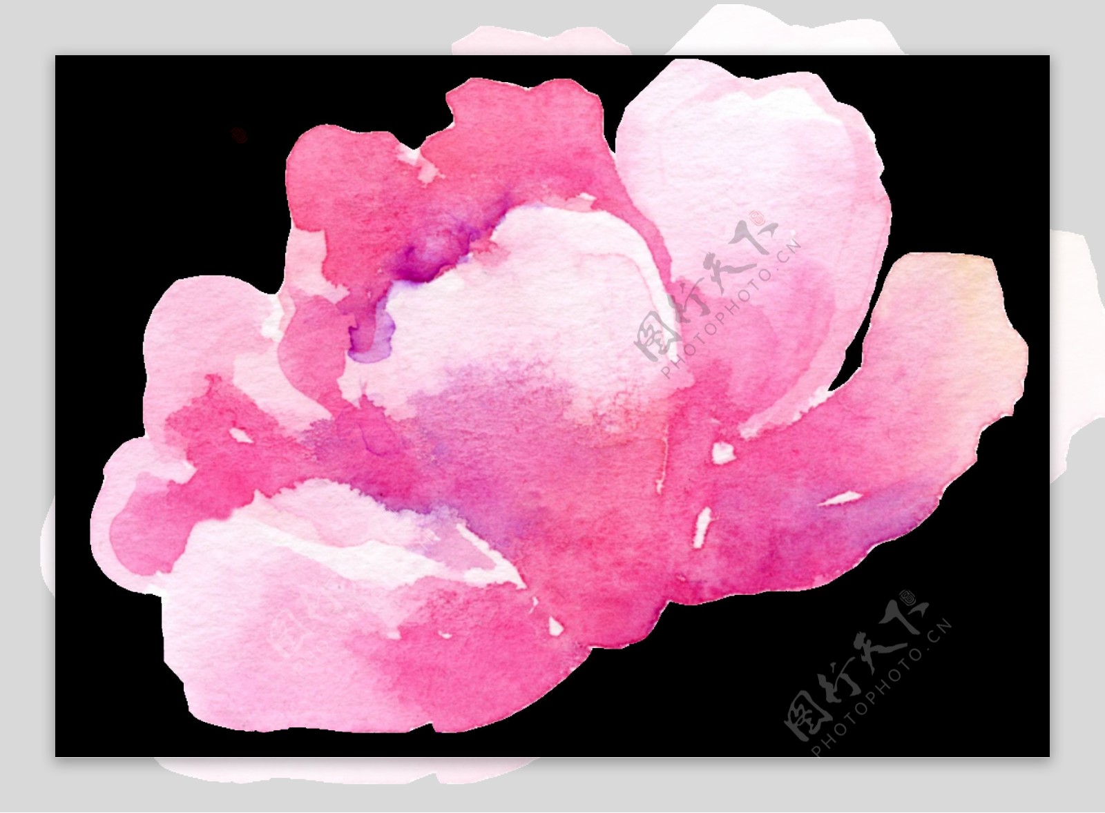 粉色渐变花卉卡通透明素材