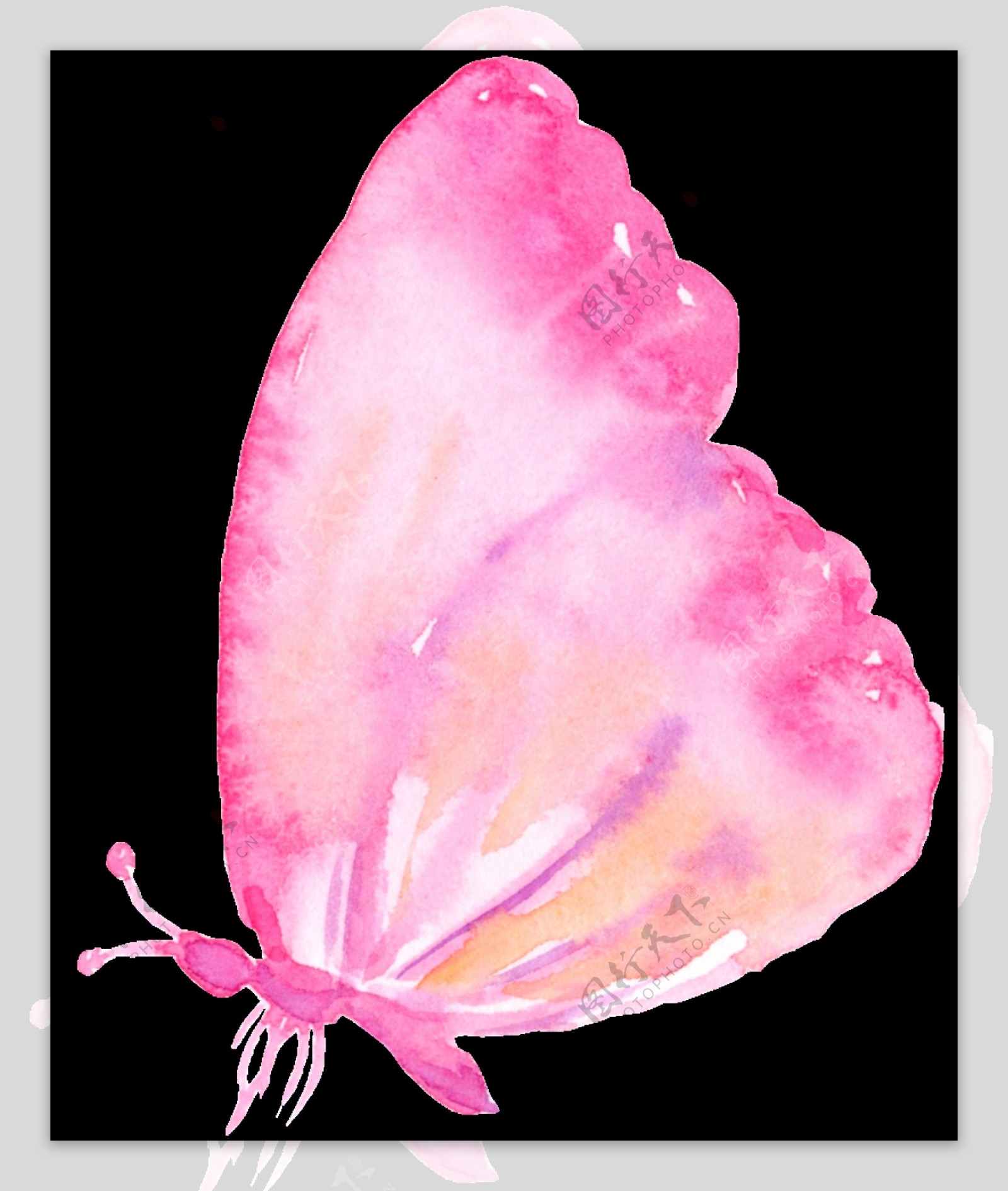 粉色蝴蝶卡通透明素材