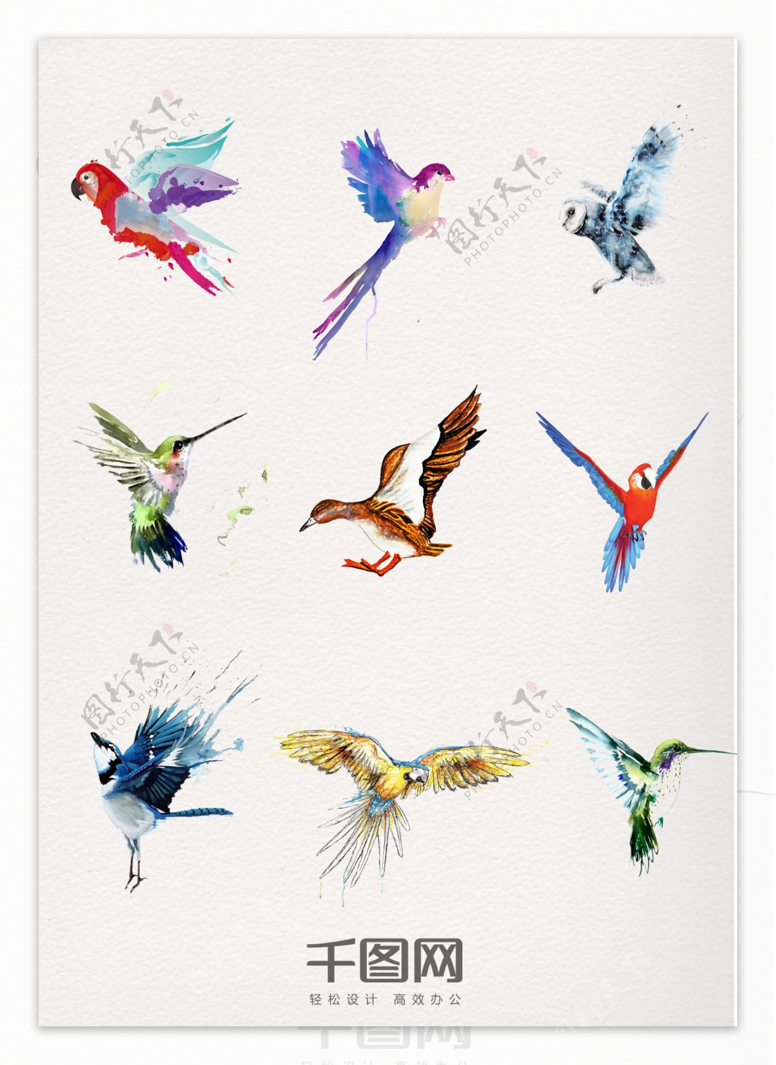 一组水彩动物飞鸟设计素材