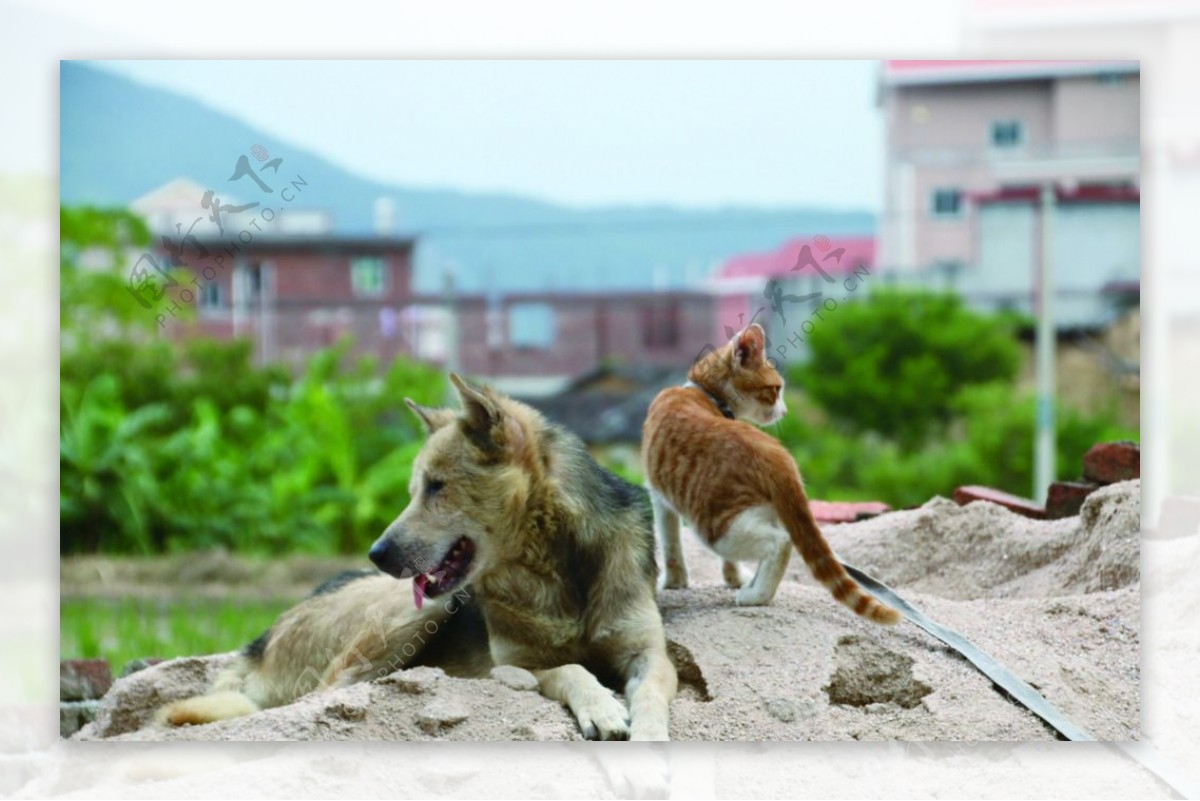 世界各国的宠物险-中国国际宠物水族用品展CIPS