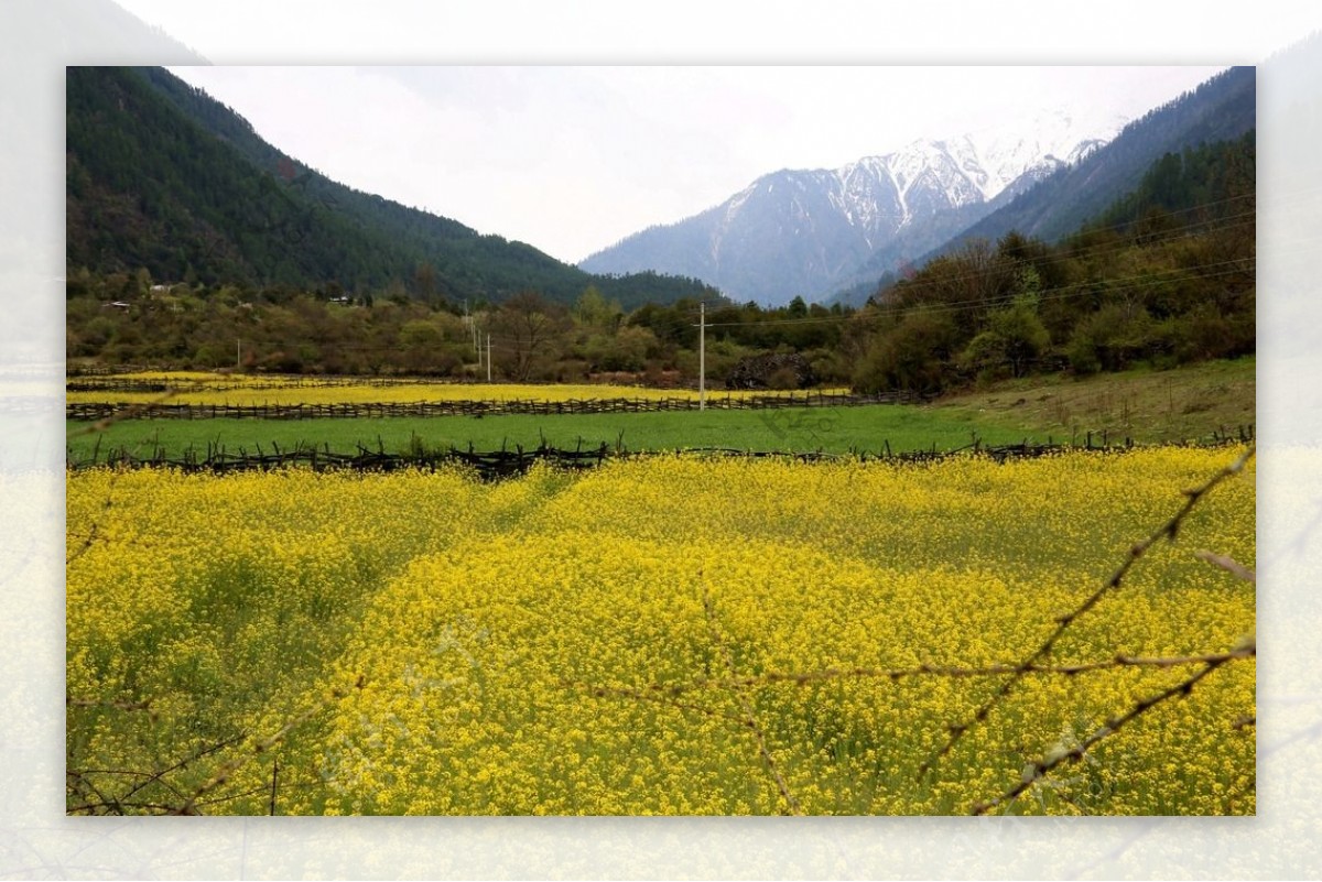 川藏林芝风景