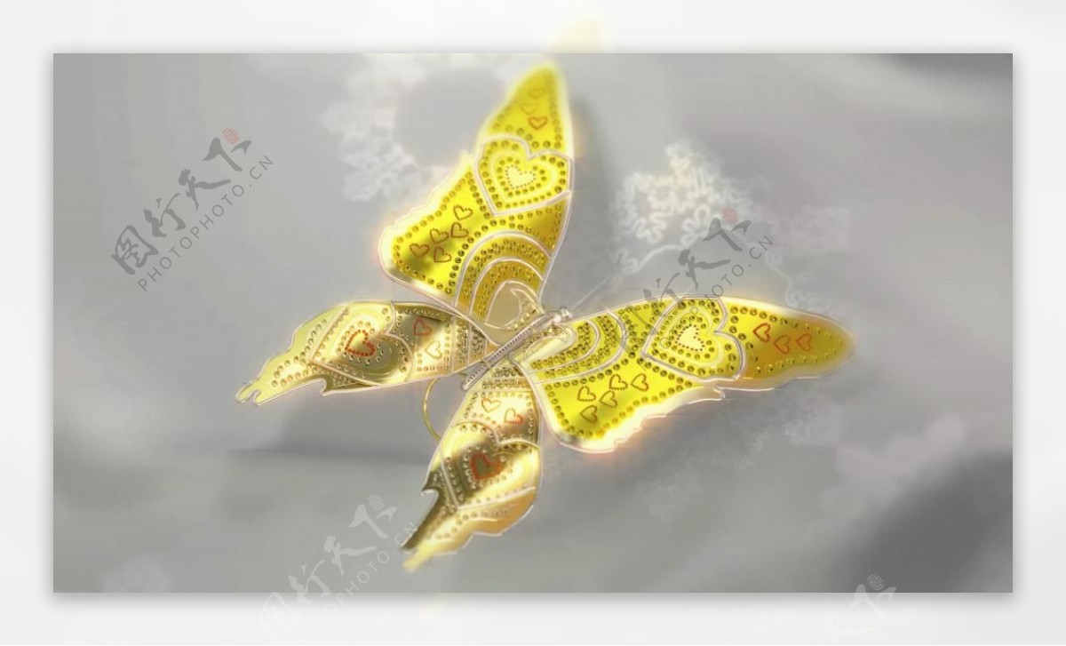 金色蝴蝶3D模型高清视频素材