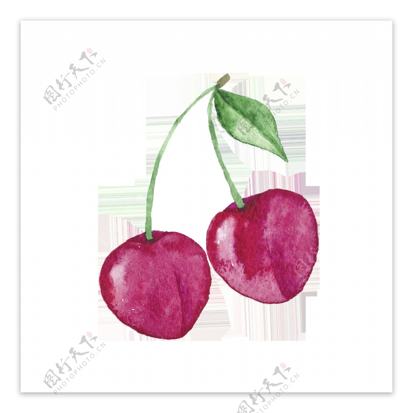 紫红色手绘车厘子卡通透明水果素材