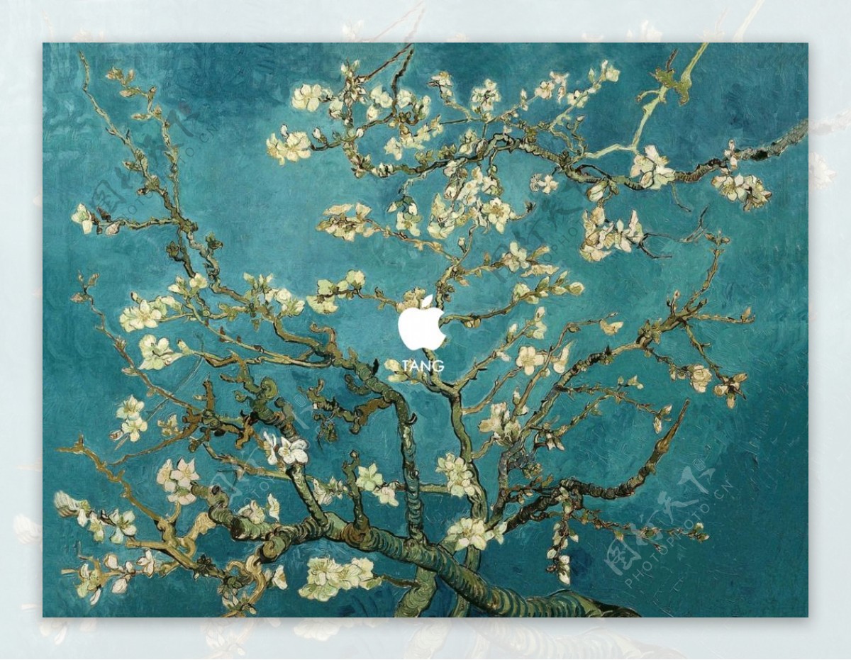 mac桌面梵高杏花