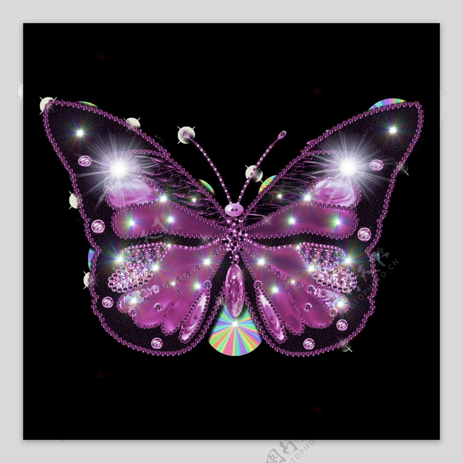 紫色蝴蝶免抠png透明图层素材
