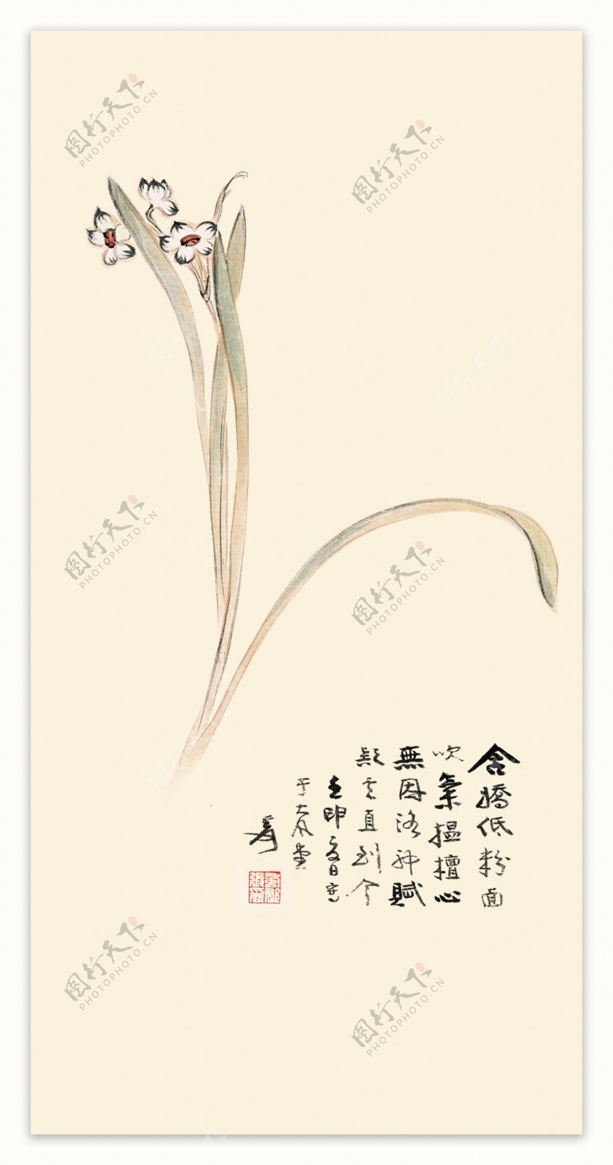 手绘植物花卉书法字装饰画