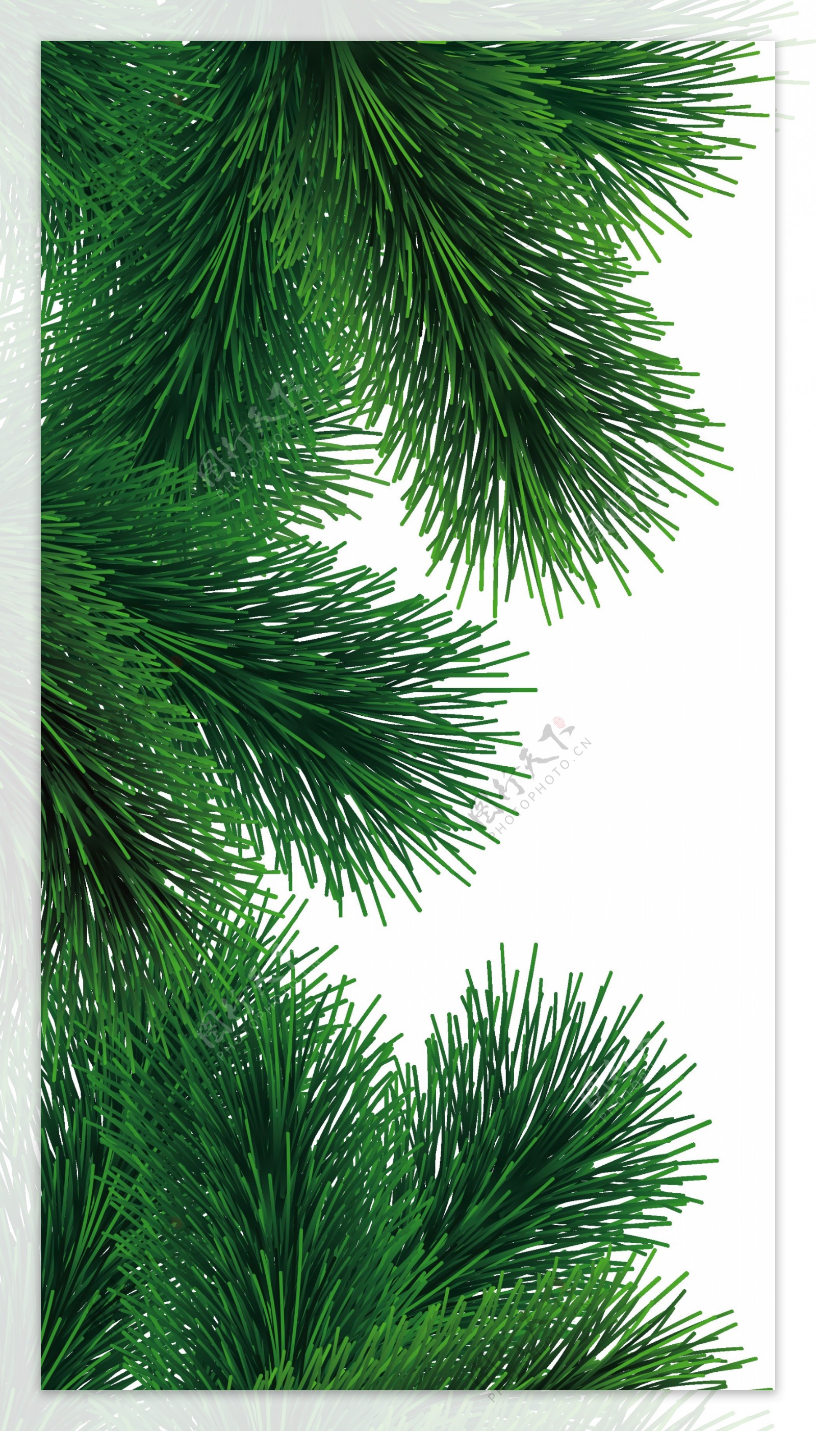 绿色枞树免抠png透明图层素材