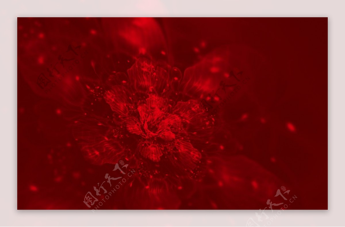 红色3D立体花朵