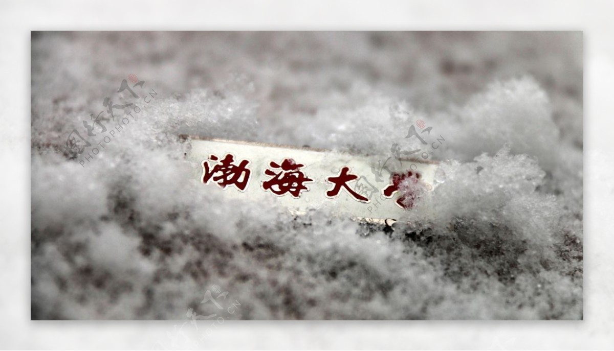 雪地里的记忆