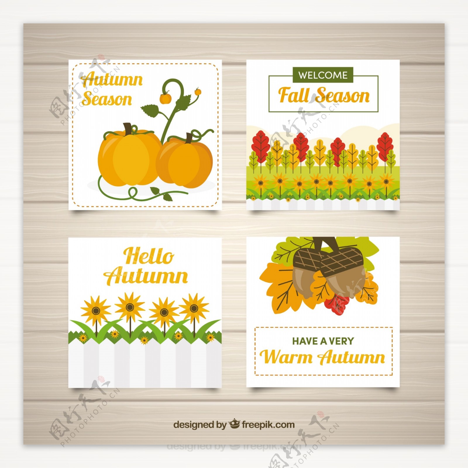 秋天的元素丰富多彩的收藏卡