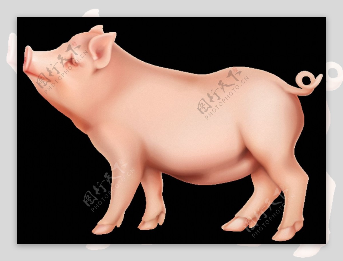 手绘肥猪侧面图免抠png透明素材
