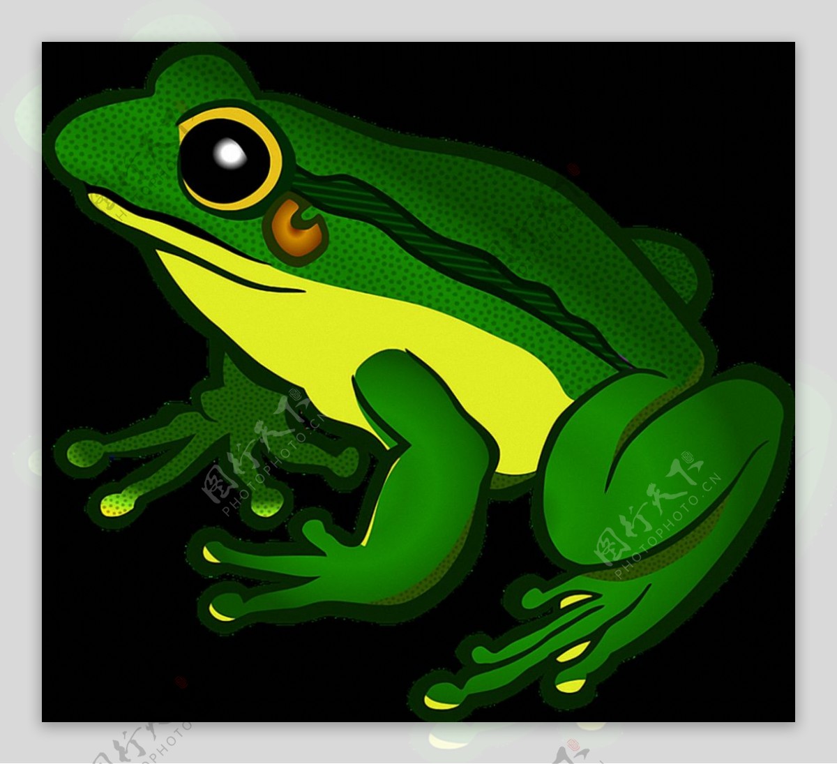 深绿色手绘青蛙免抠png透明素材
