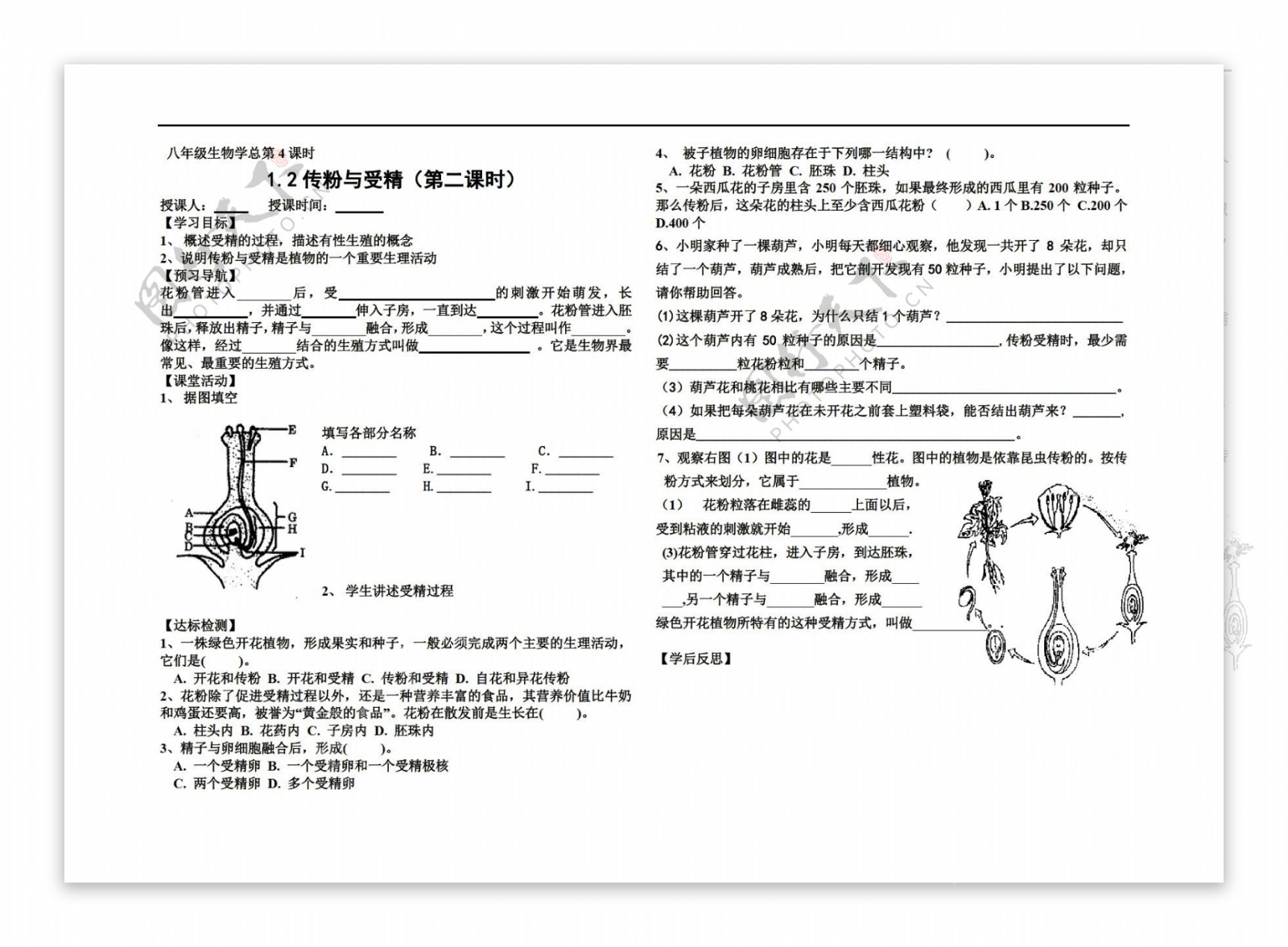 八年级上册生物传粉和受精2