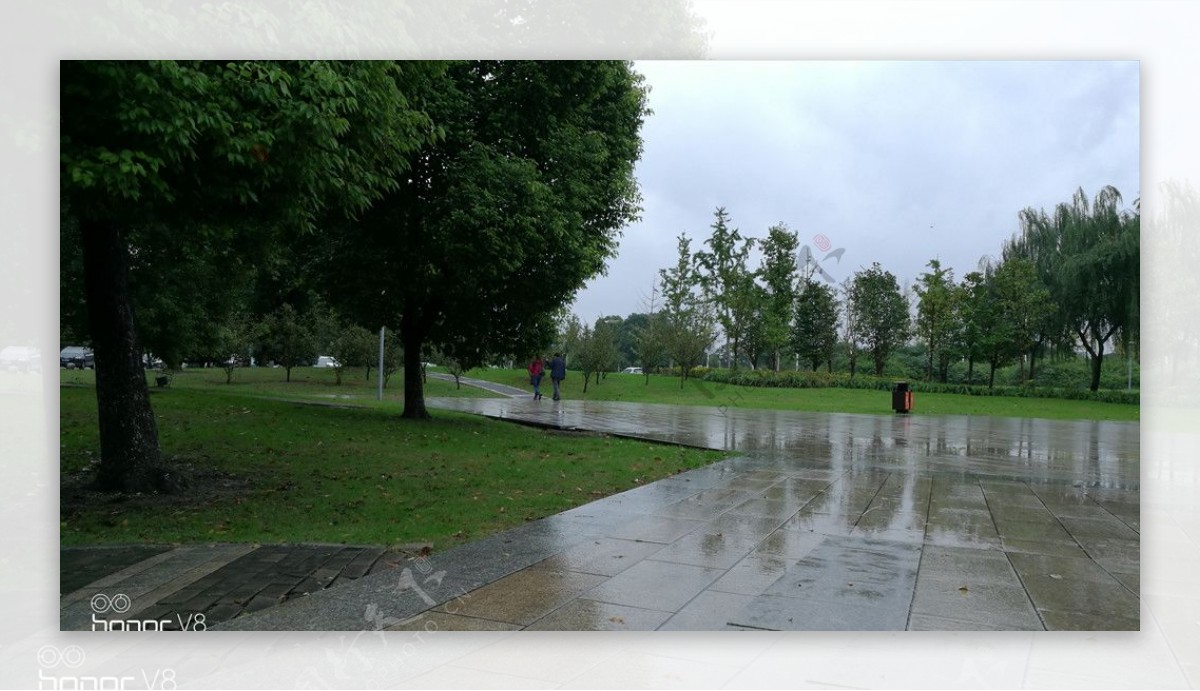 雨后的公园湿漉漉的