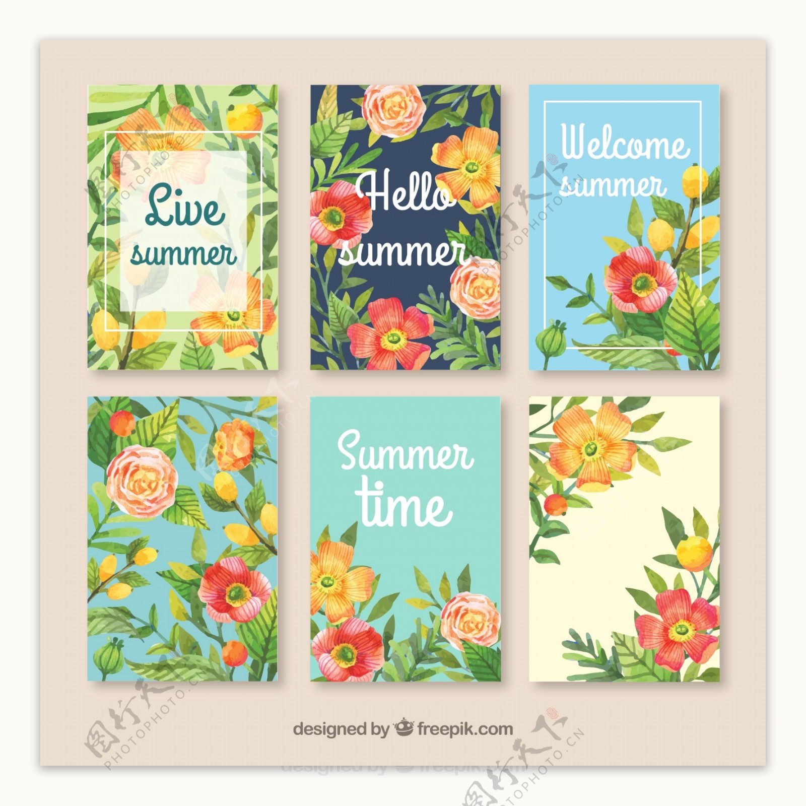 彩色夏季花卉卡片矢量素材