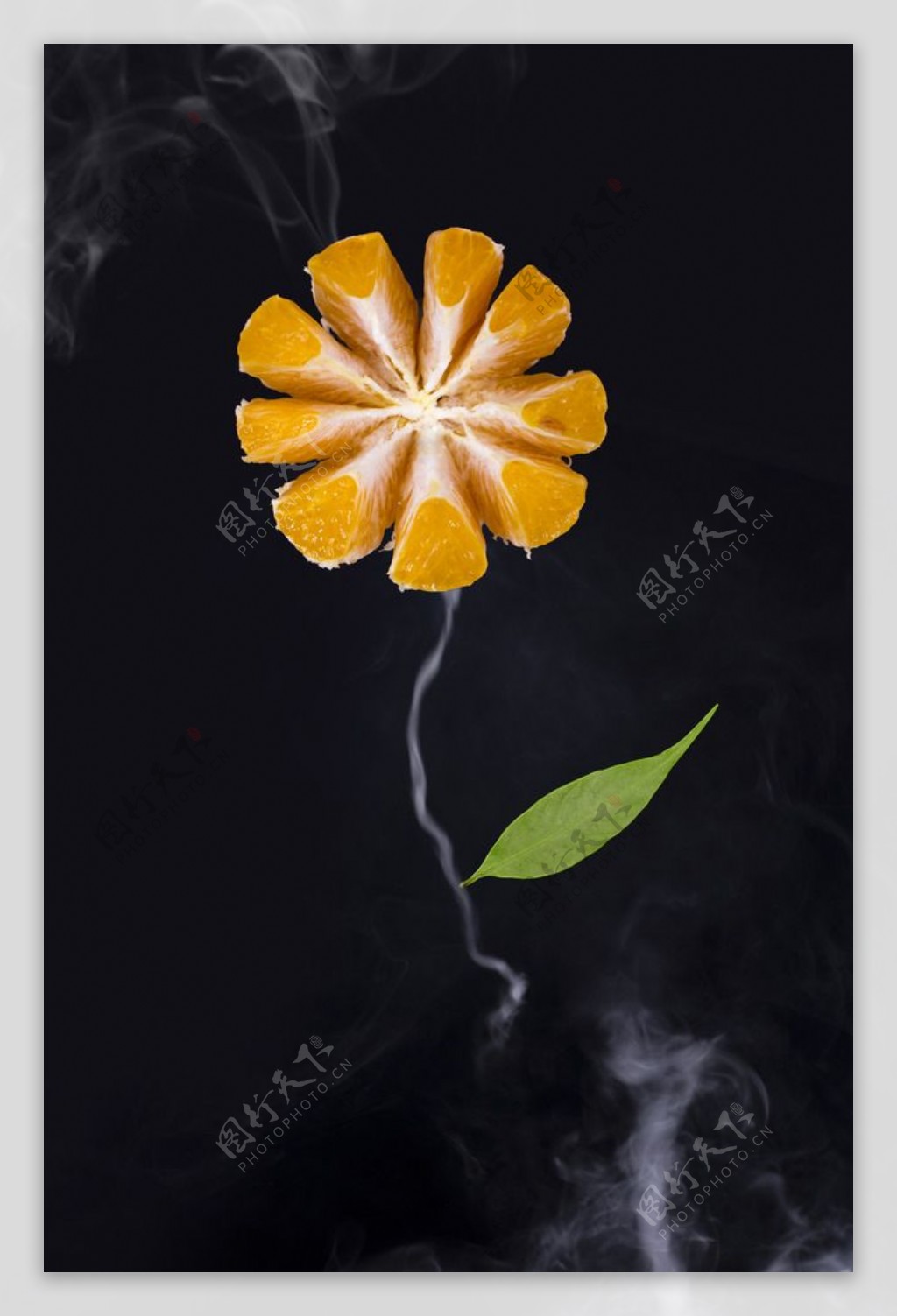 橘子花