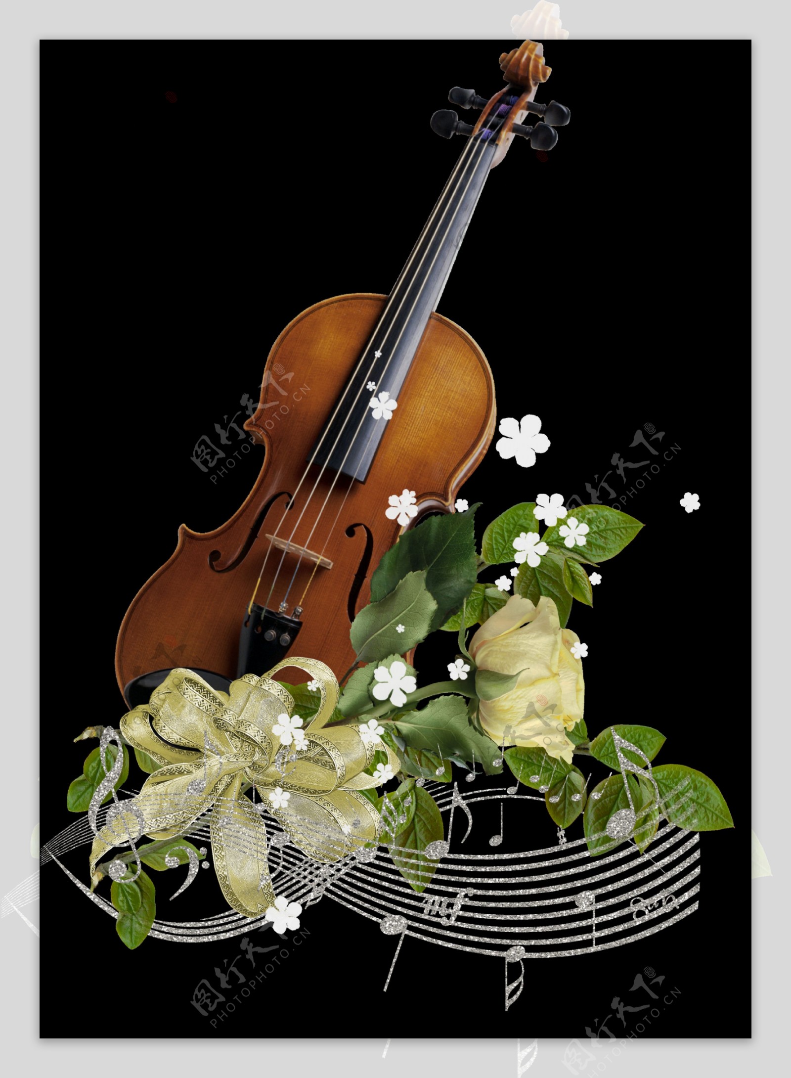 手绘实物大提琴png透明素材