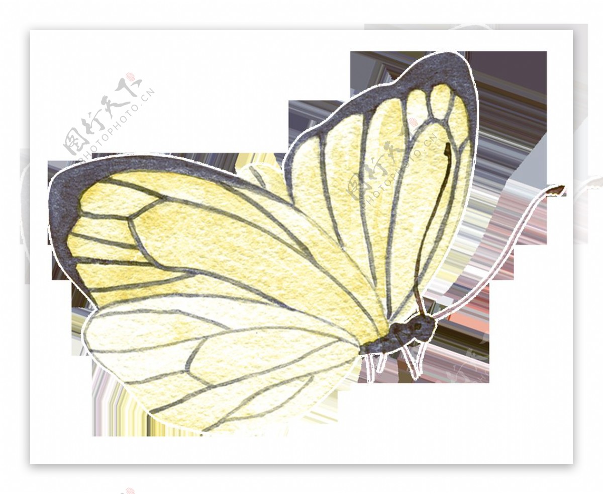 乳白色蝴蝶卡通透明装饰素材