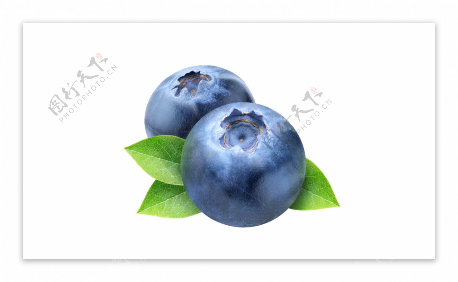 带绿叶的蓝莓免抠psd透明素材