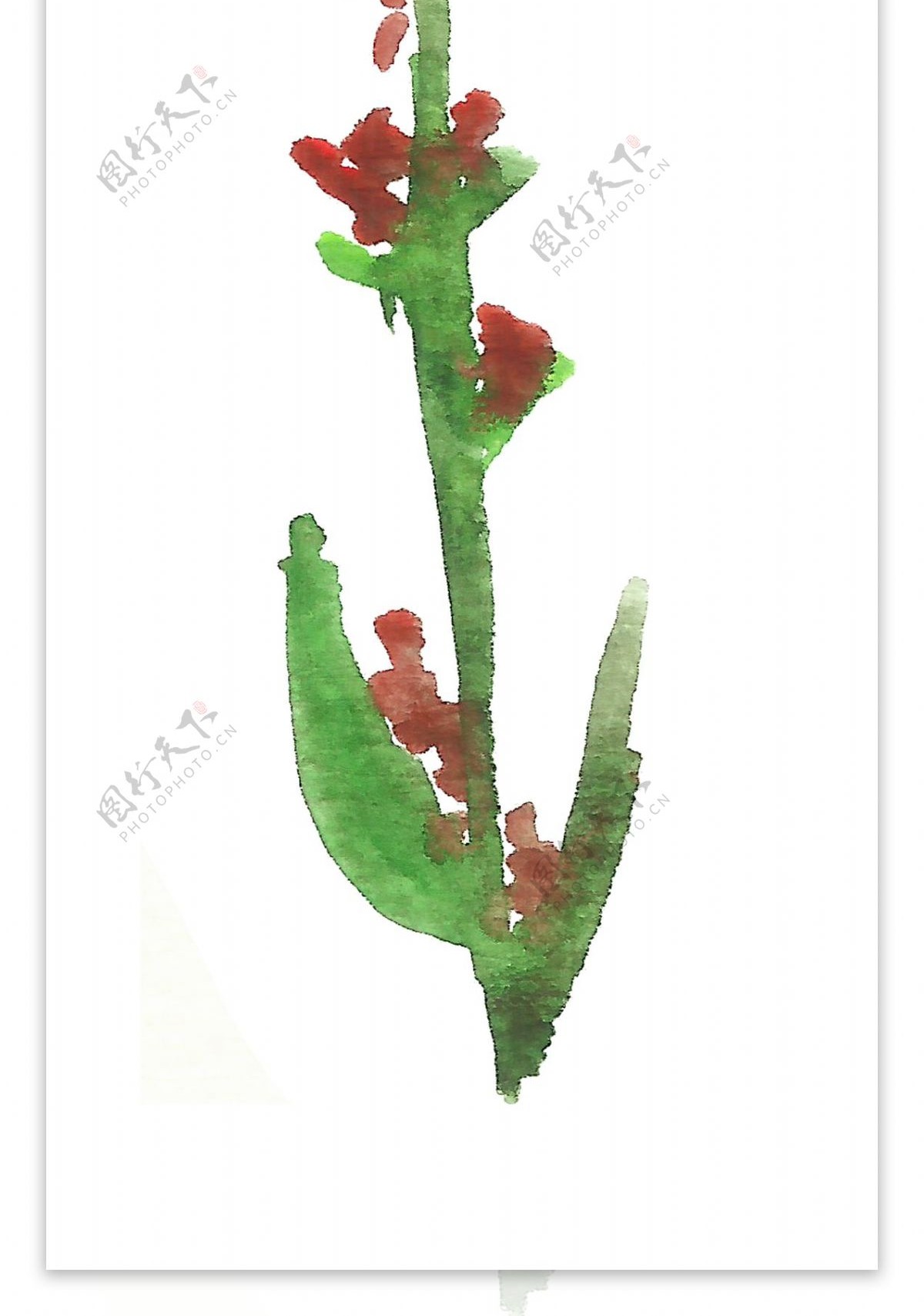 红绿植物卡通水彩透明素材