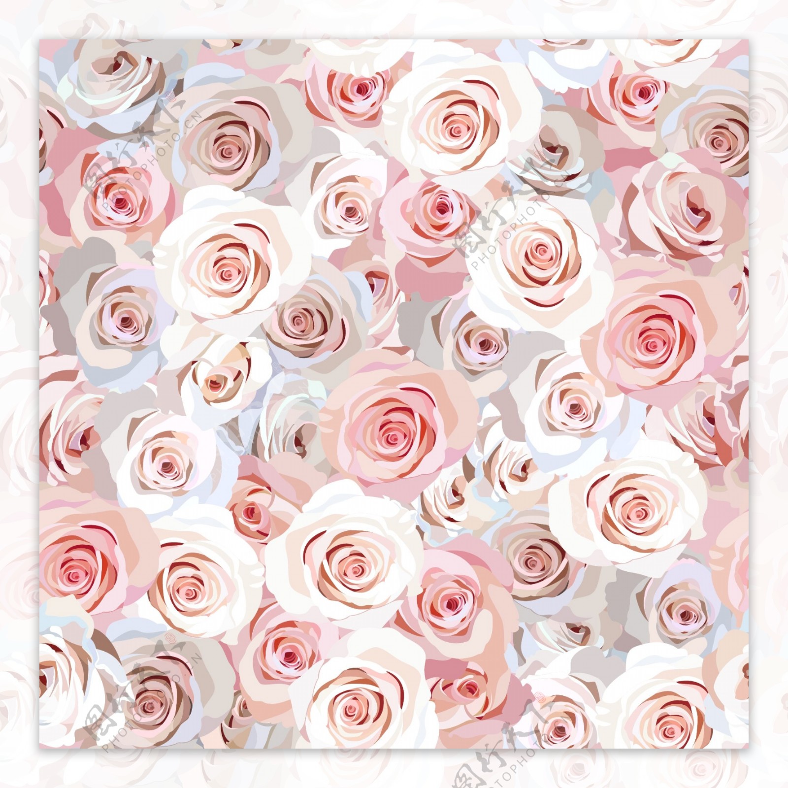粉色浪漫玫瑰花背景