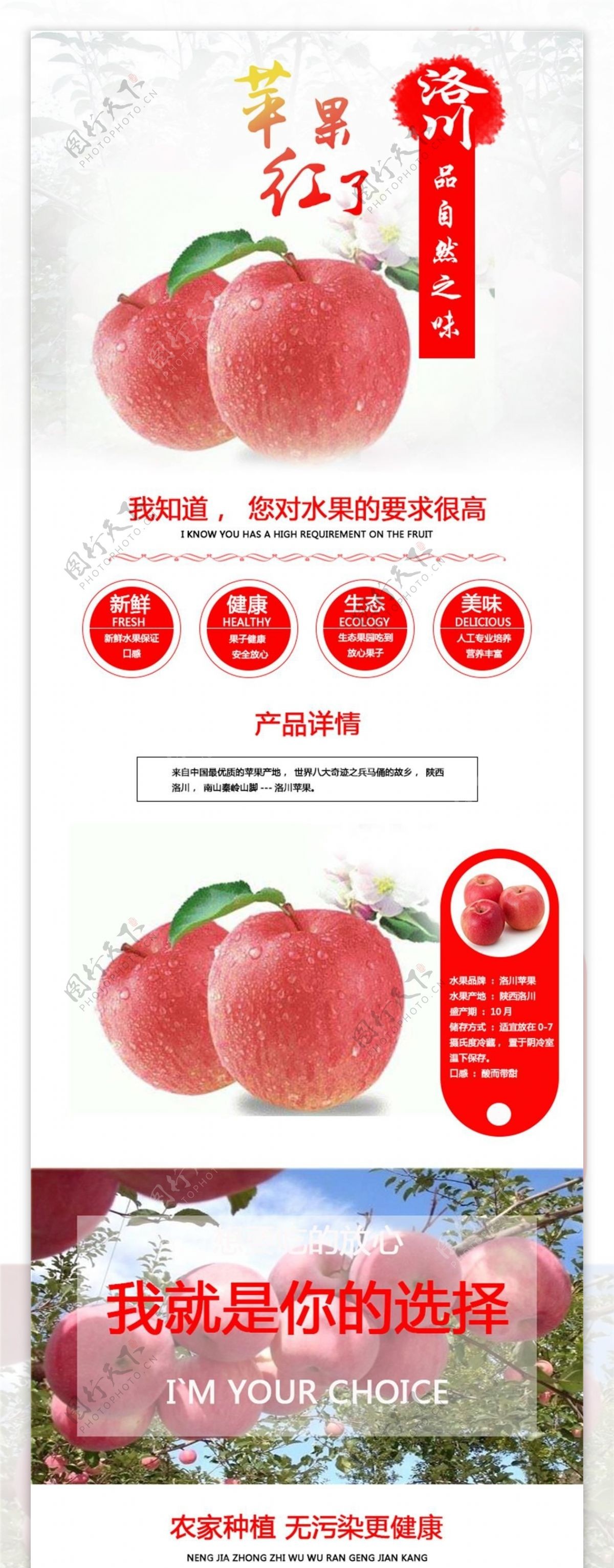 电商淘宝洛川苹果淡色背景水果详情模板