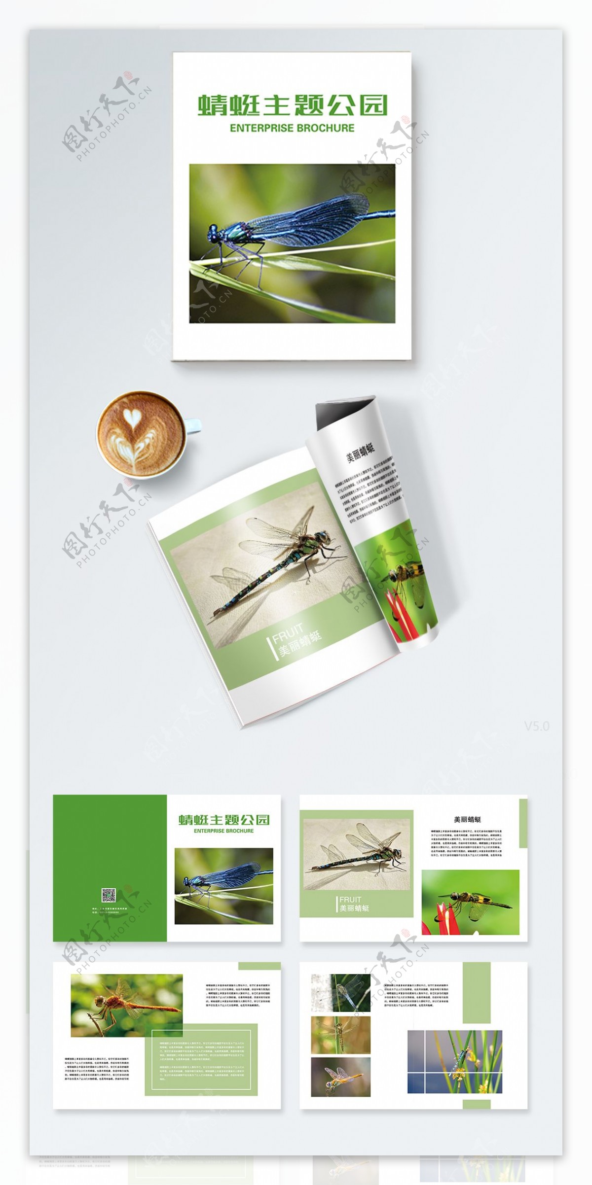 简约绿色蜻蜓主题公园画册设计PSD模板