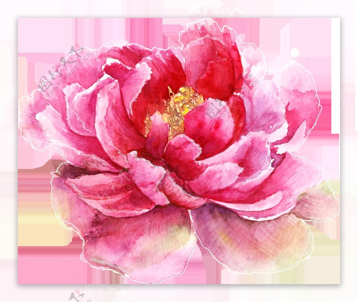 立体粉色优雅花卉卡通透明素材