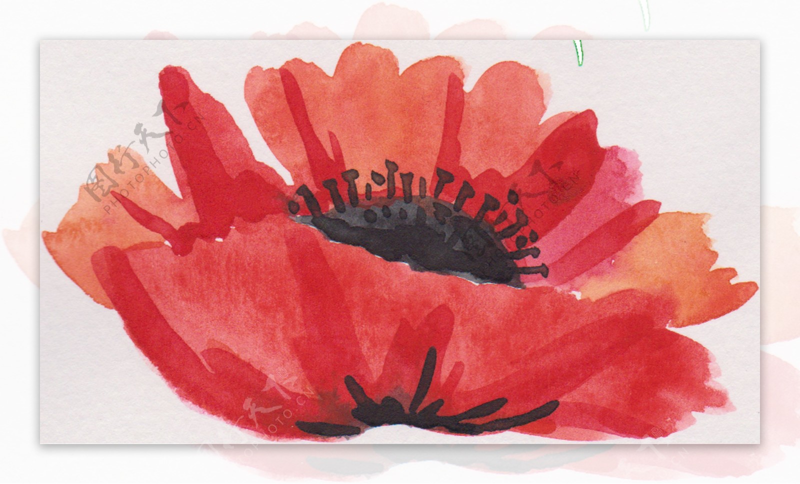 红水花瓣卡通透明素材
