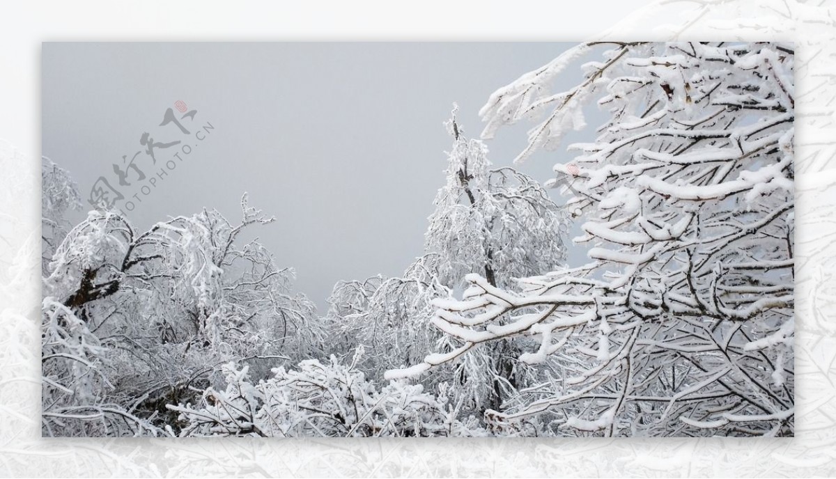 西岭雪山