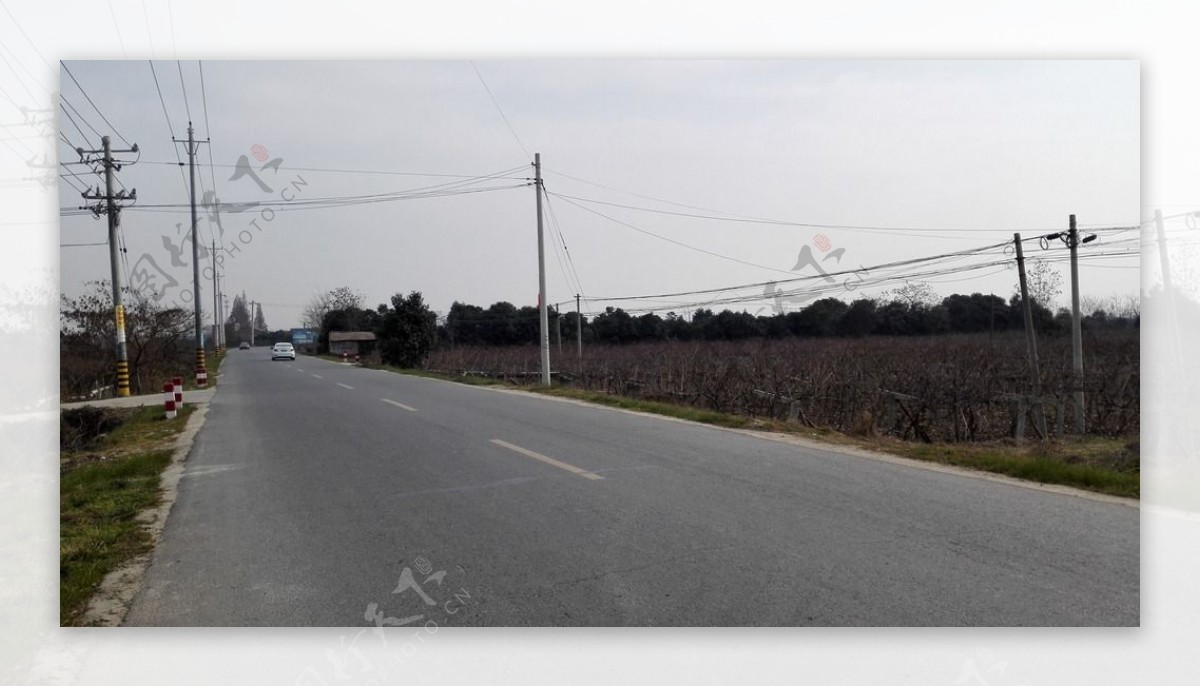 乡村道路风光