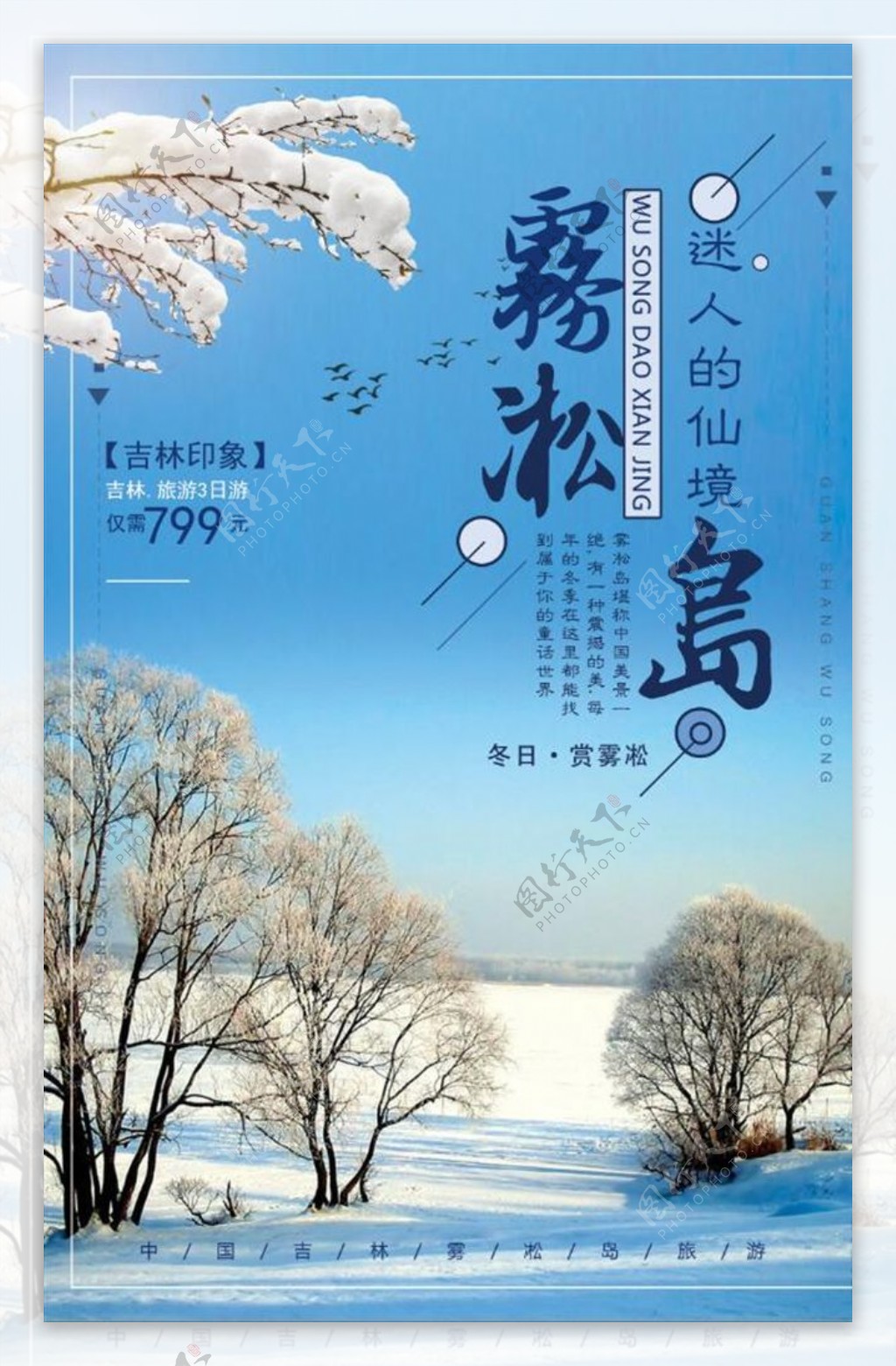 清新雾凇冬季旅游海报