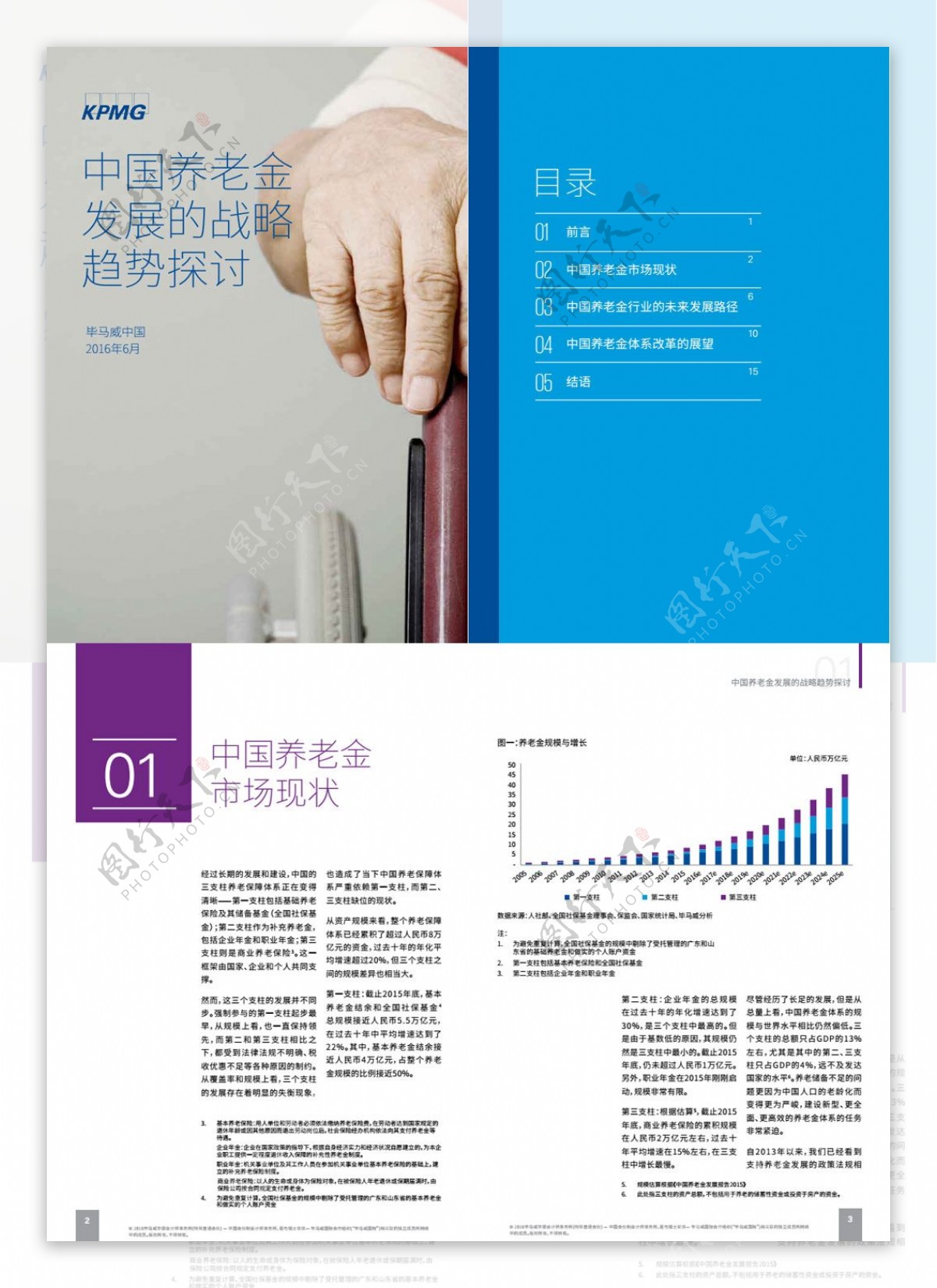 2016年中国养老金发展的战略趋势探讨分析报告文档