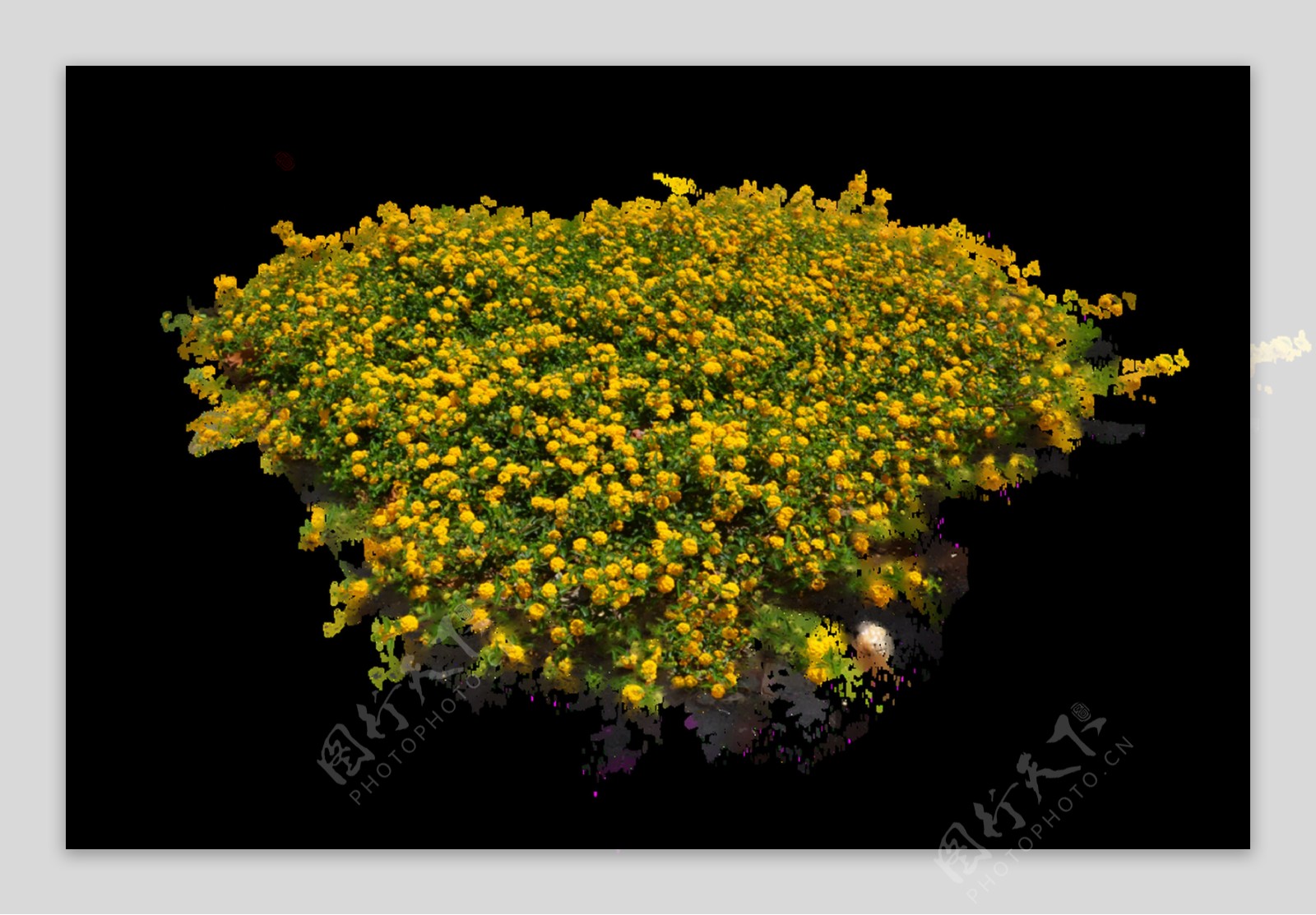 黄色碎花花丛透明素材