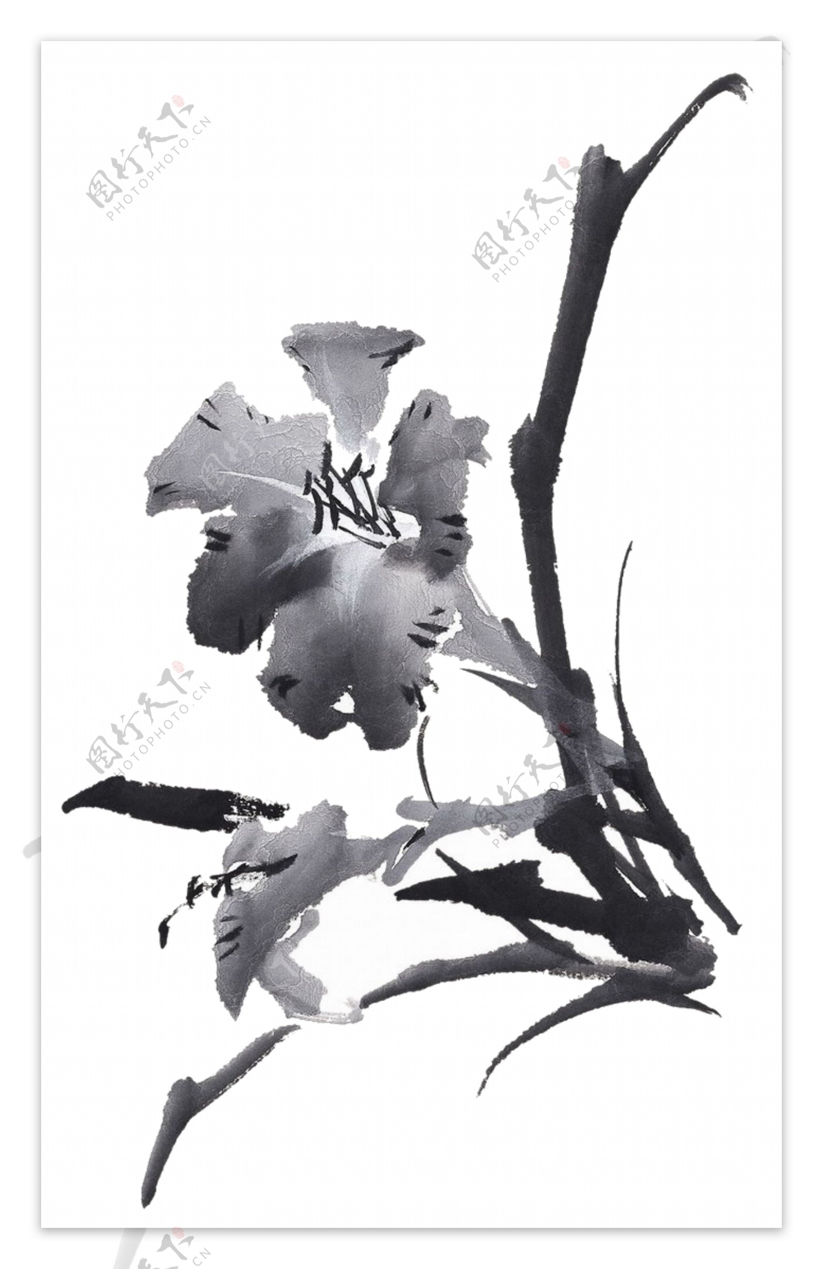 黑色花高清印刷黑白花叶子