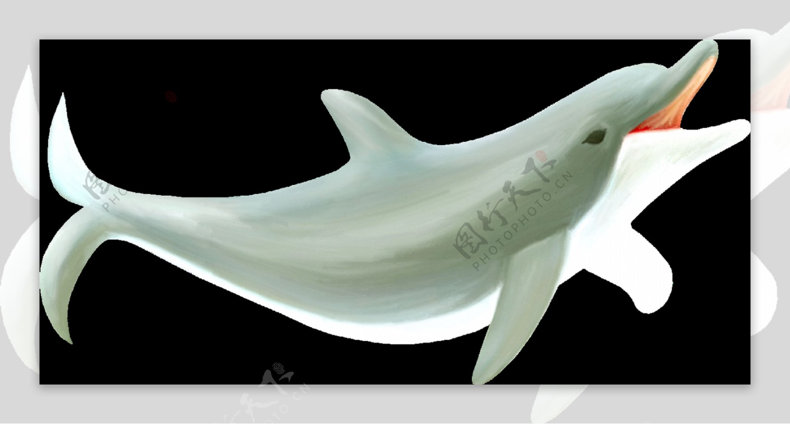 鲸鱼卡通透明素材