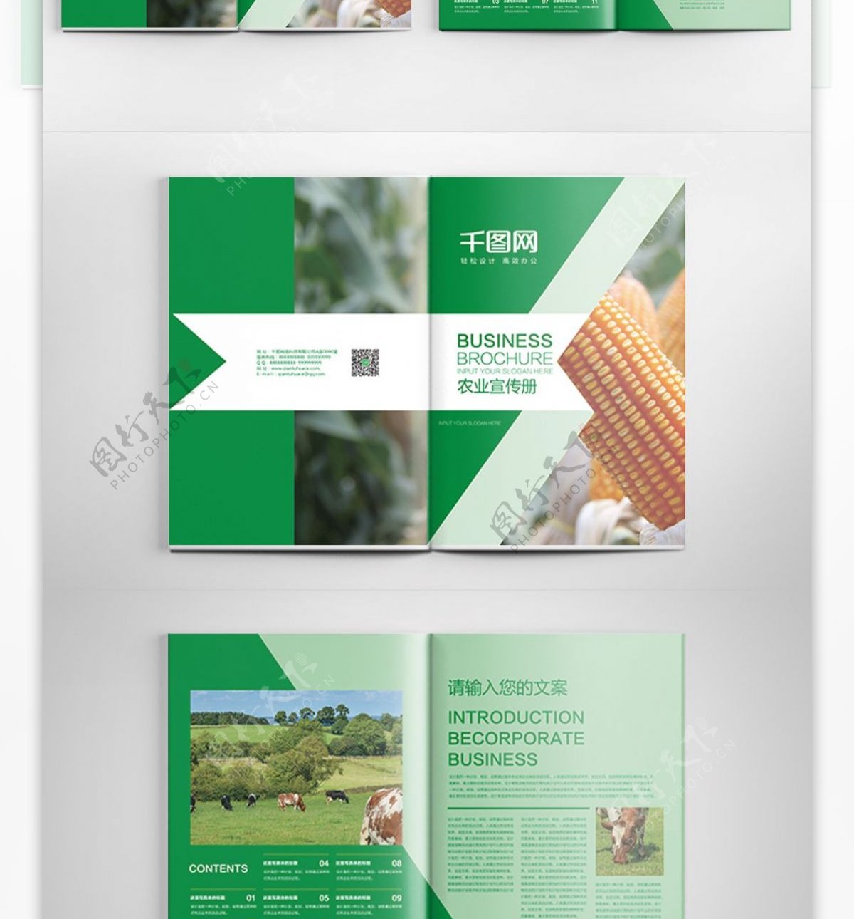绿色时尚大气农业画册PSD模板