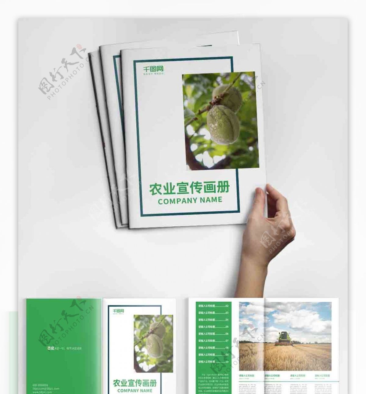 绿色大气农业宣传画册设计PSD模板