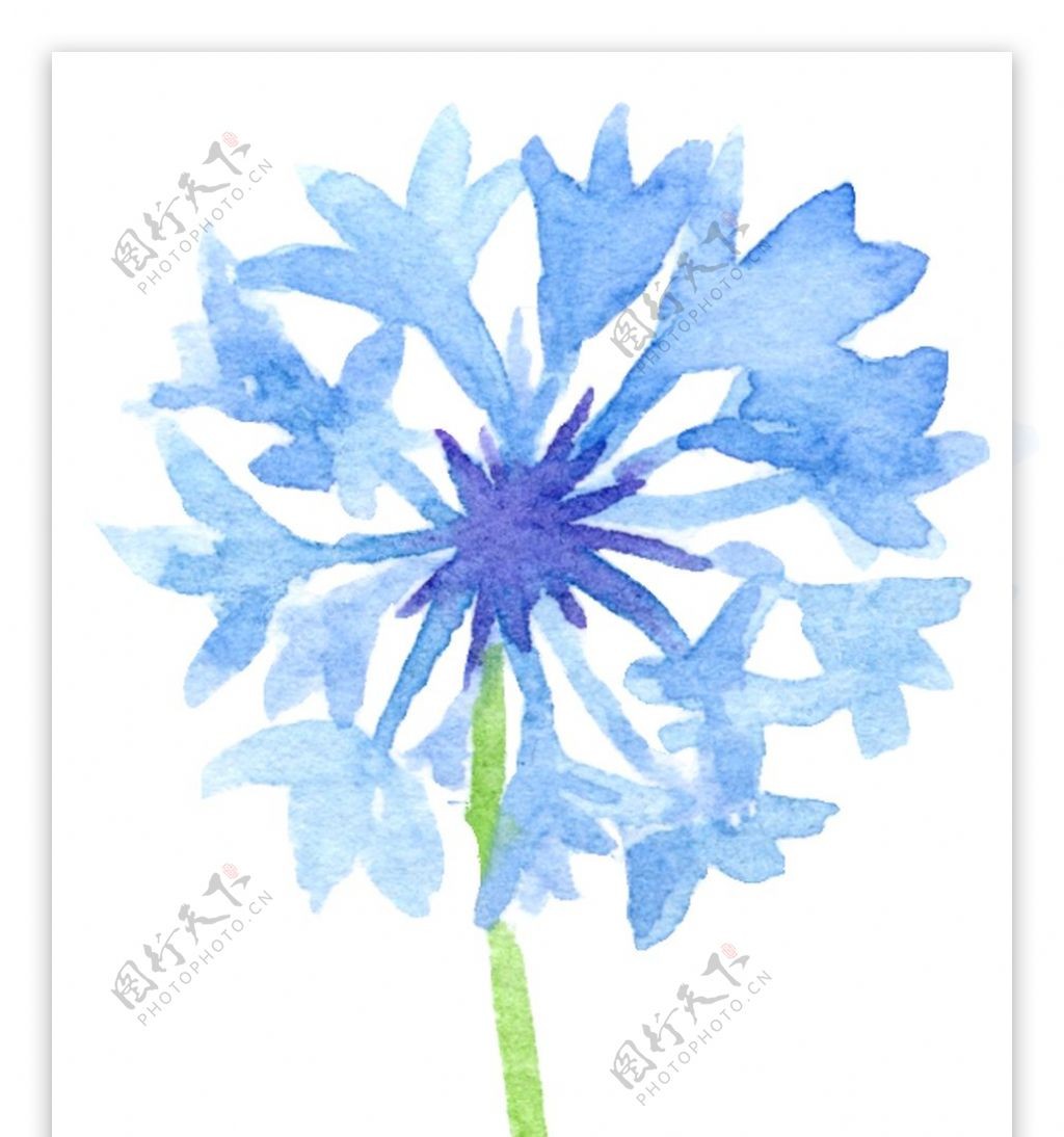 蓝色大气花卉透明装饰素材