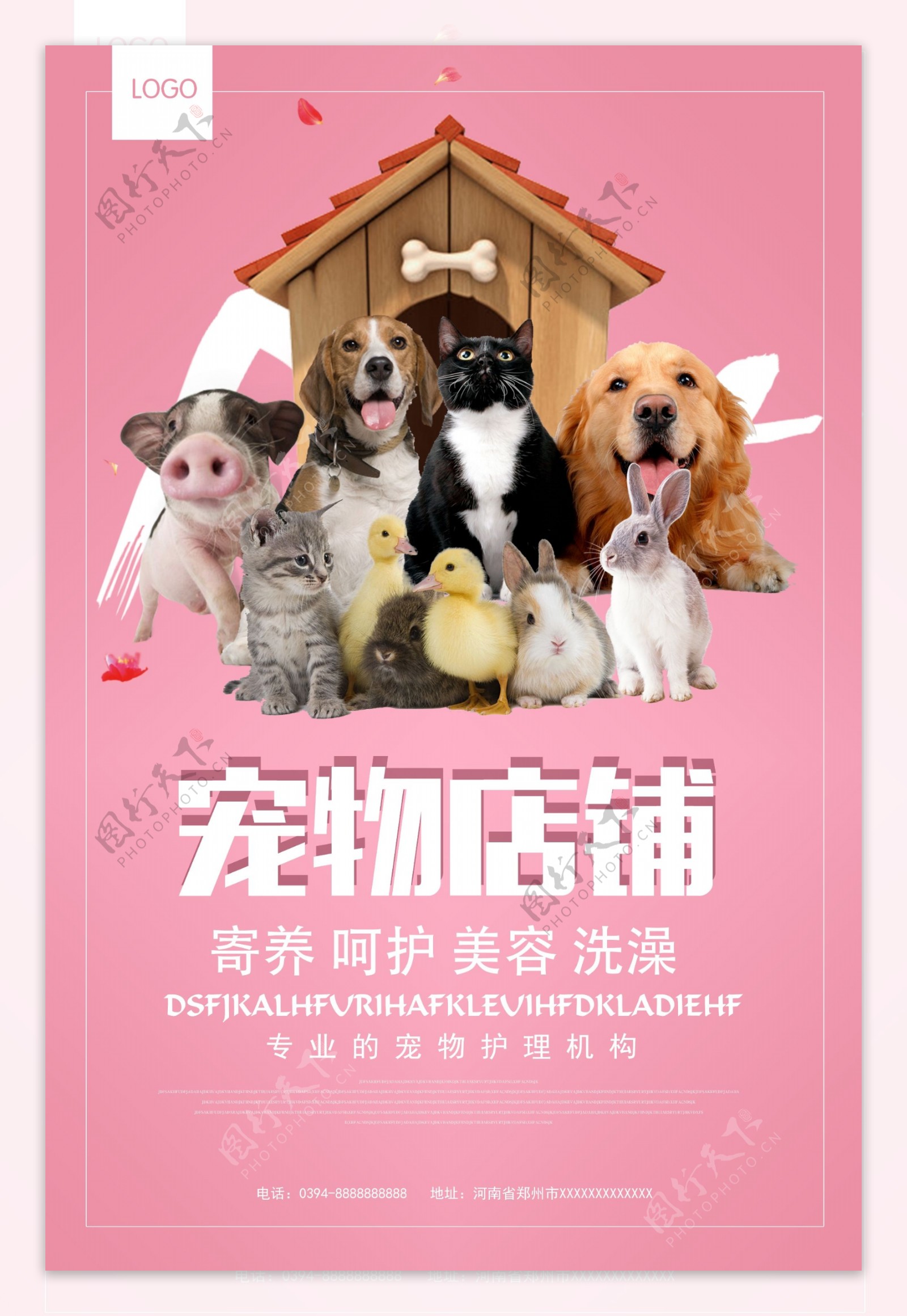 宠物医院店铺宣传海报