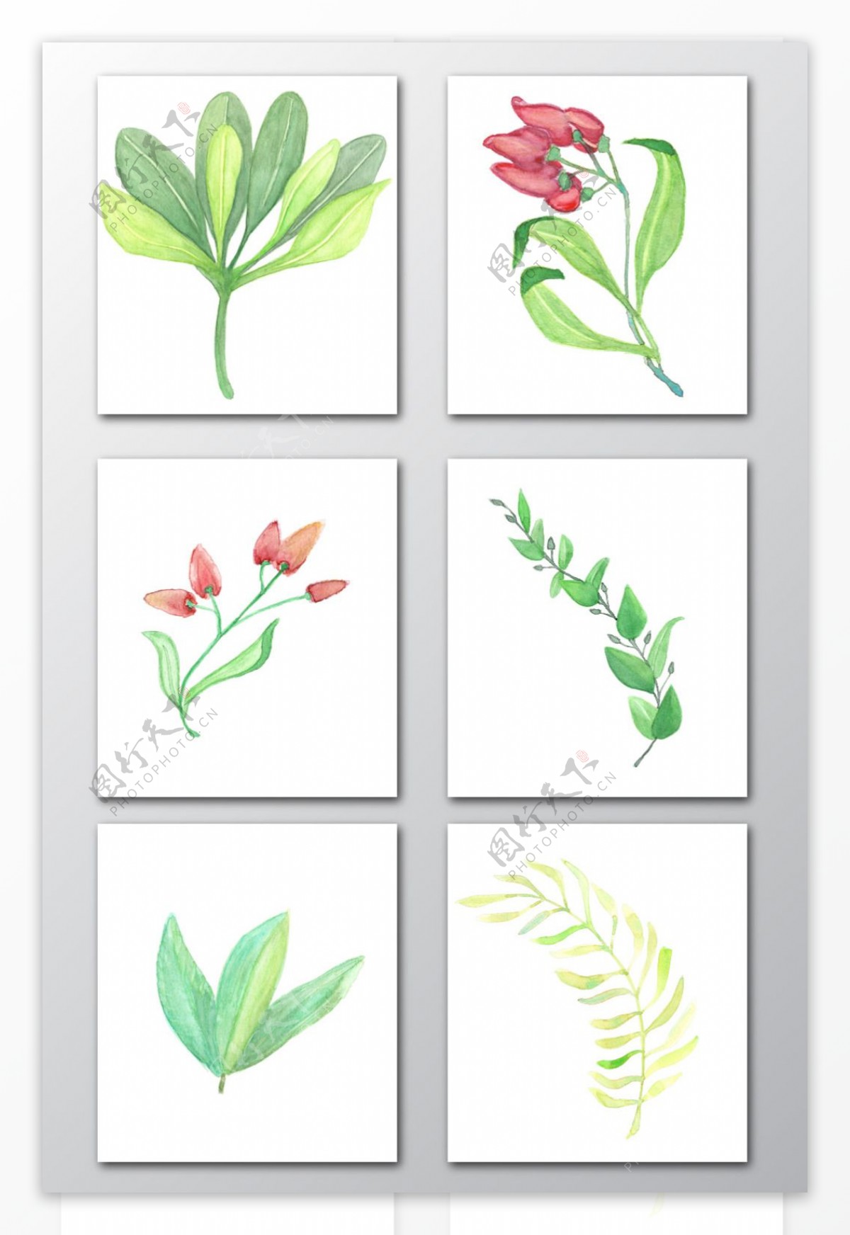 水彩手绘花朵绿色植物PNG免抠素材