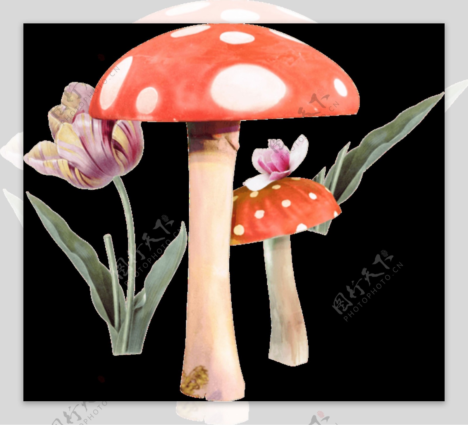 彩绘花朵蘑菇图案元素