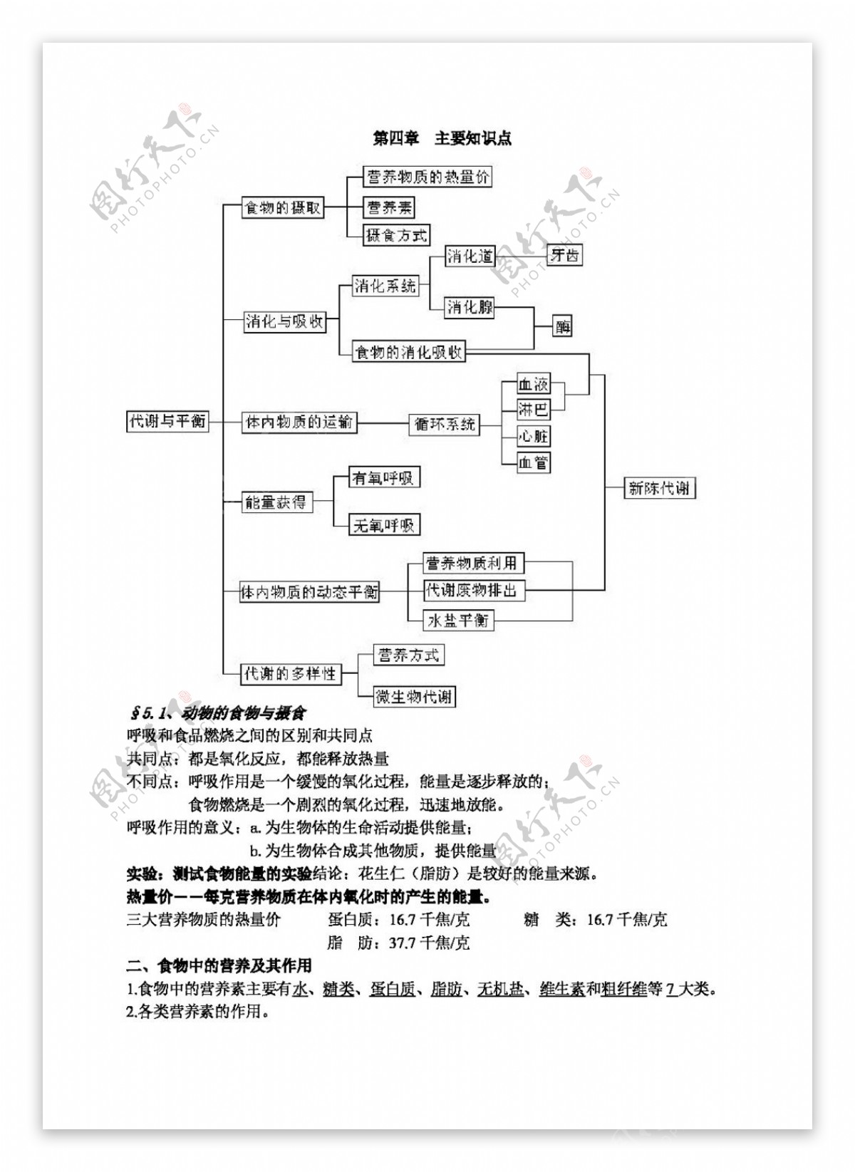 九年级上科学第四章复习提纲