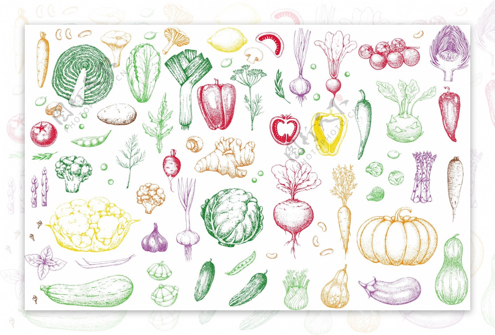 手绘彩色蔬果食物矢量蔬菜装饰