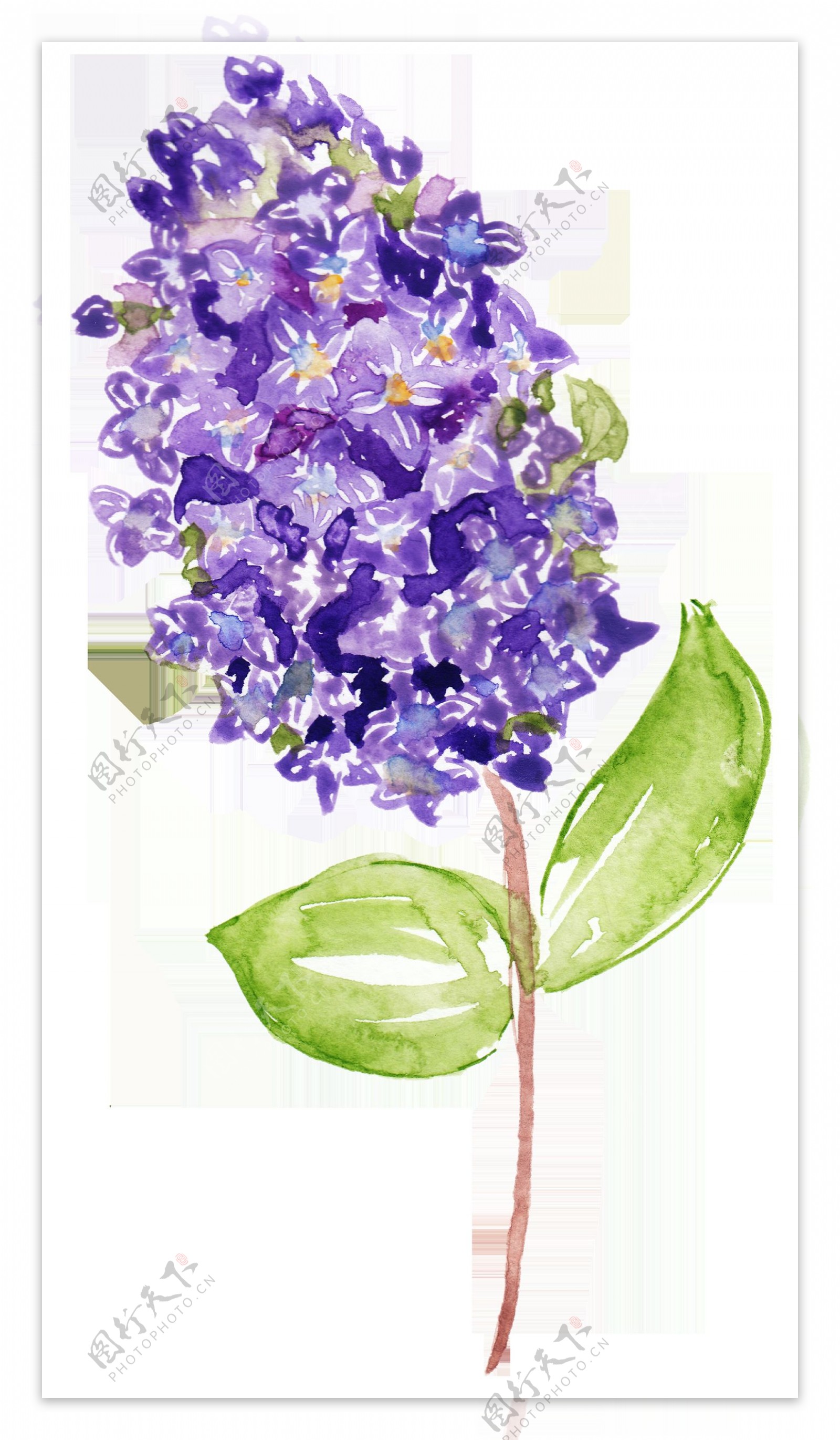 手绘素雅紫色花枝装饰素材