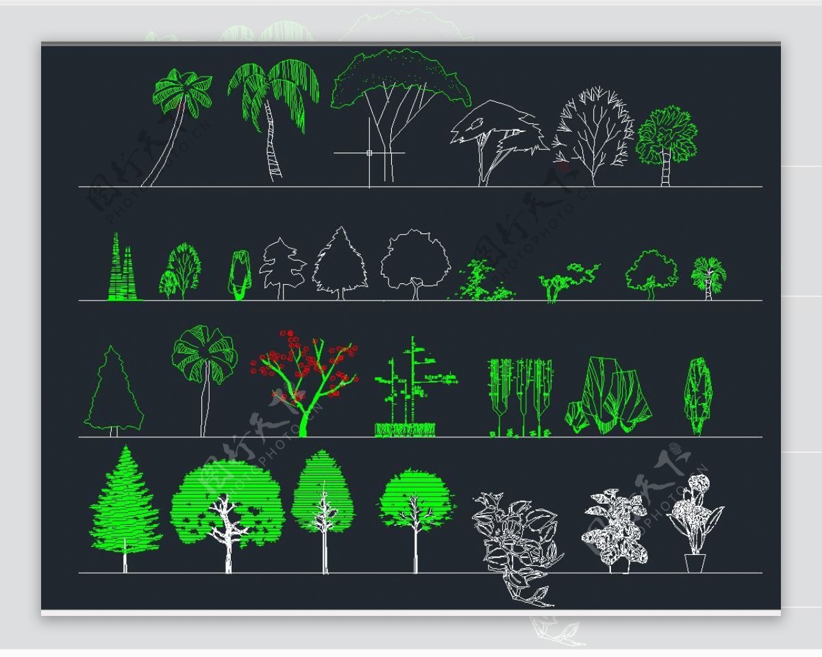 园林立面植物图