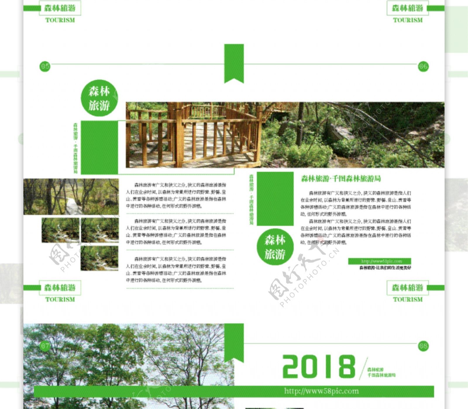 简约时尚绿色森林旅游画册设计ai模板