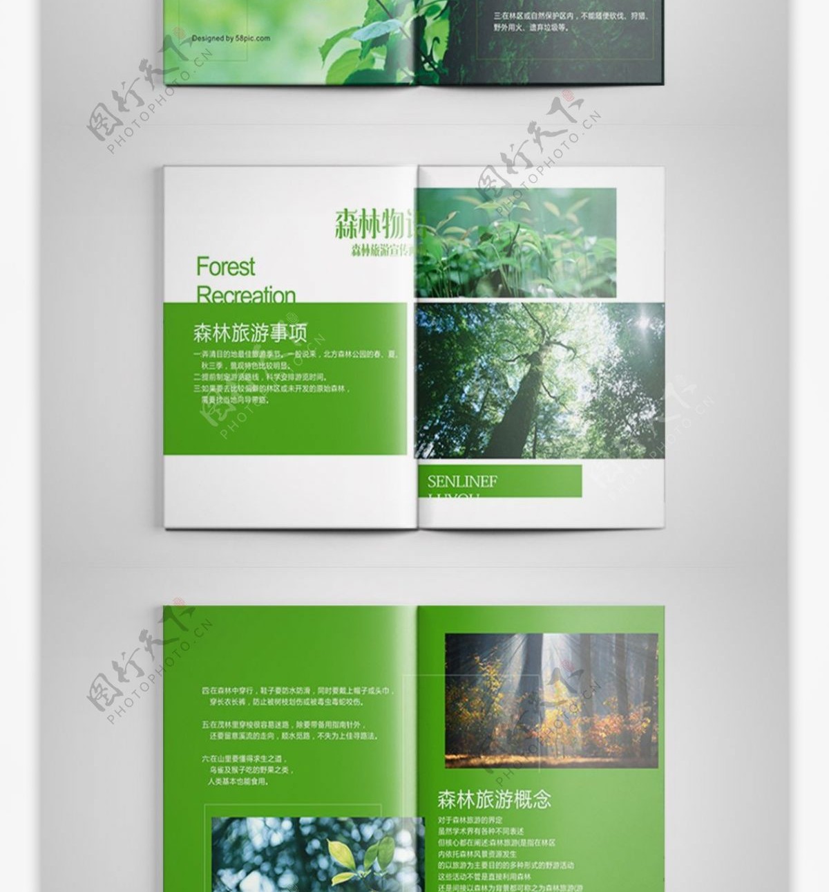 小清新森林旅游观光宣传画册
